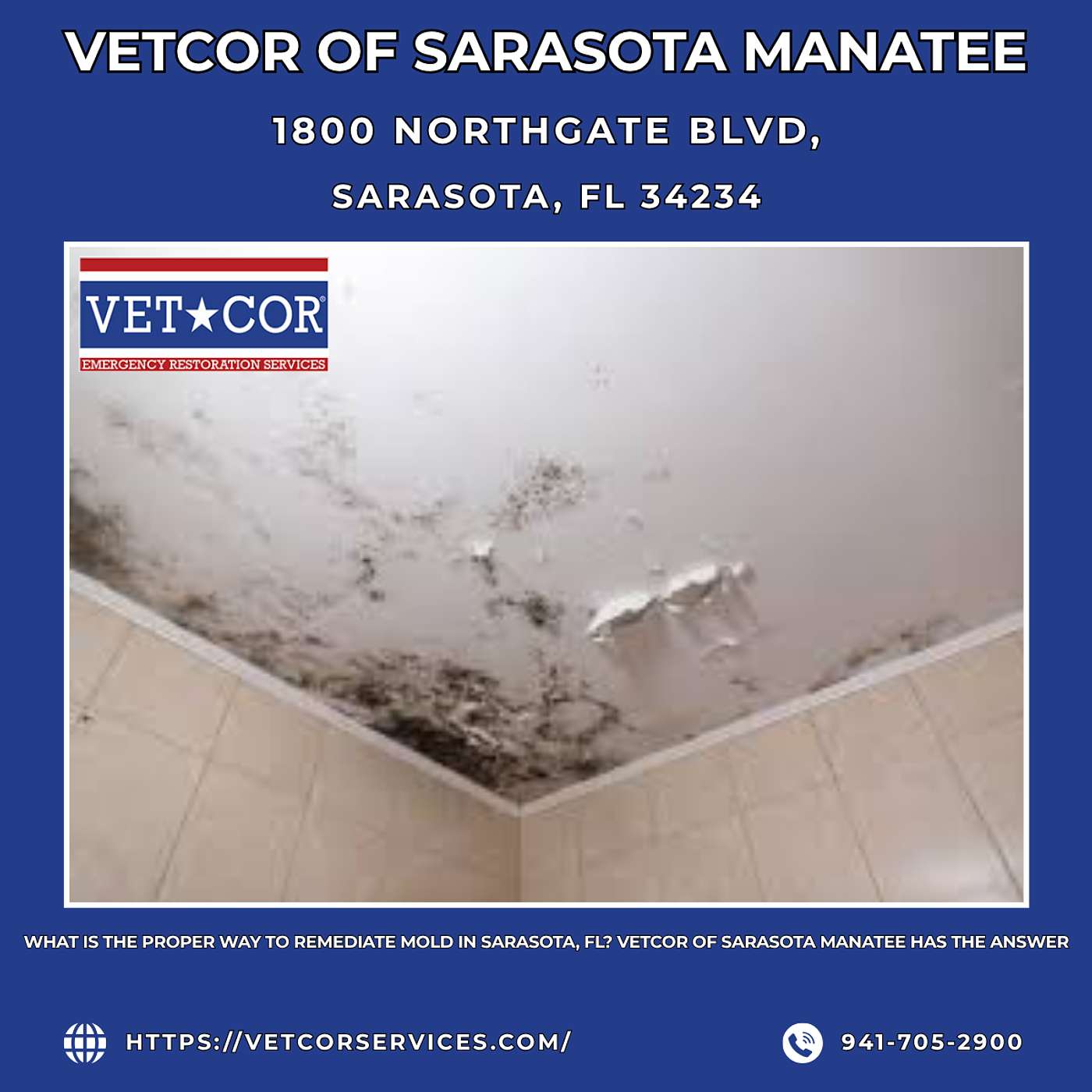 VetCor of Sarasota Manatee