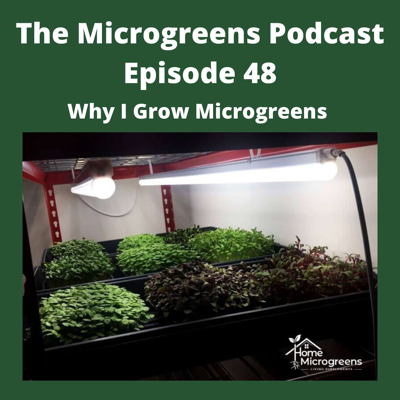 Why I Grow Microgreens Why I Grow Microgreens