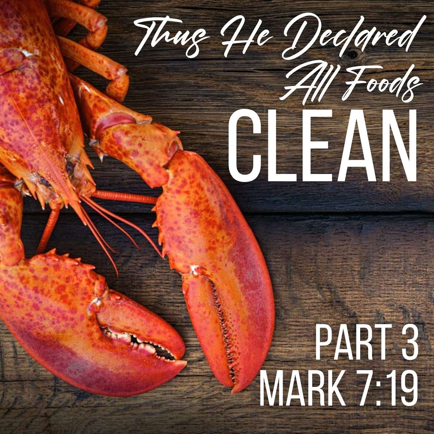 Thus He Declared All Foods Clean, Part 3; Mark 7:19