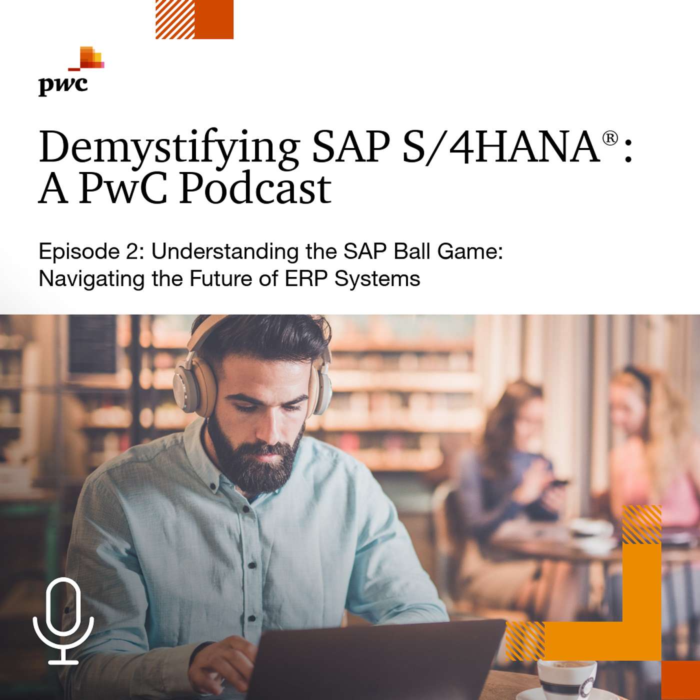2: Understanding the SAP Ball Game: Navigating the Future of ERP Systems