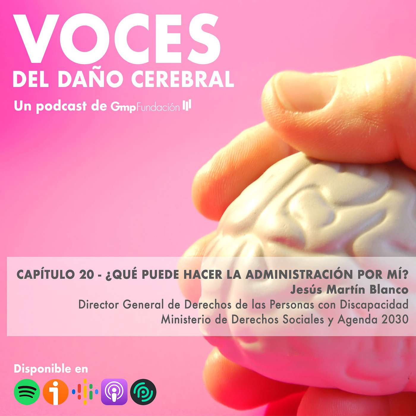 VOCES DEL DAÑO CEREBRAL. Capítulo 20 – ¿Qué puede hacer la Administración por mí?