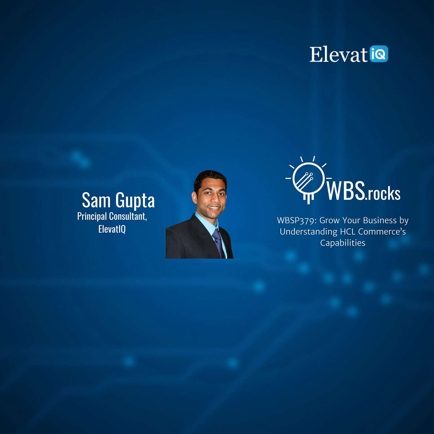 WBSP379: Grow Your Business by Understanding HCL Commerce’s Capabilities, an Objective Panel Discussion