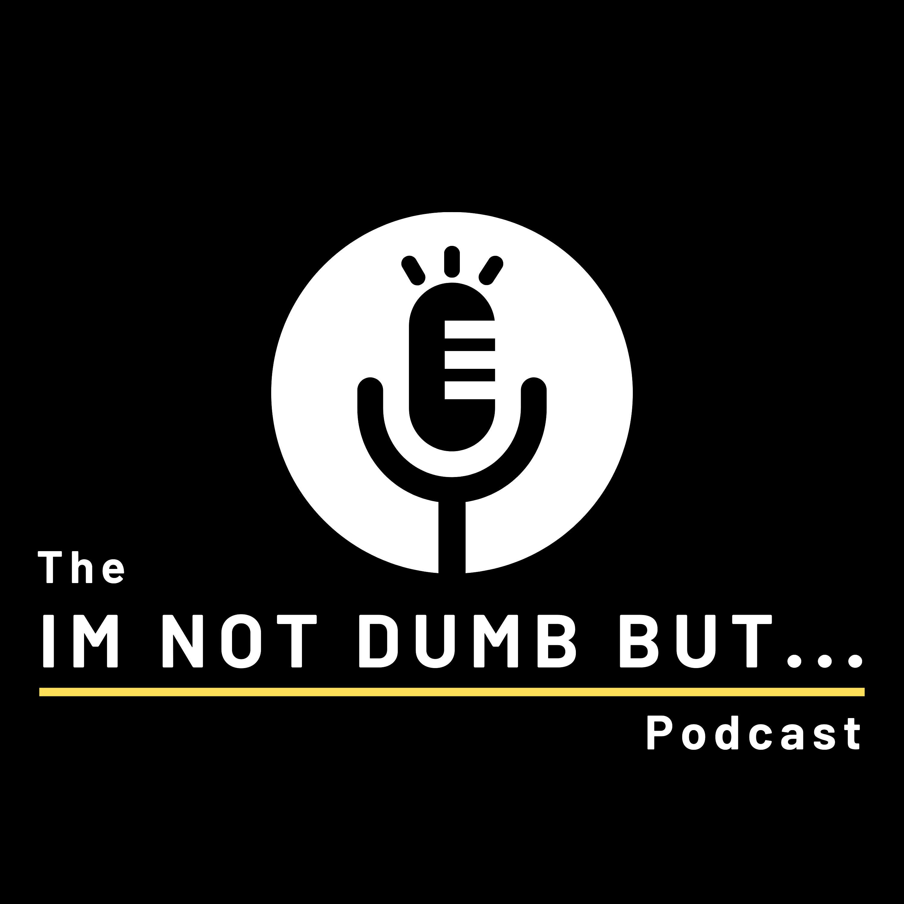 The I\'m Not Dumb But Podcast