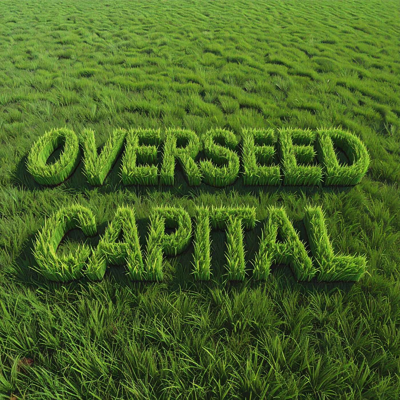 Overseed Capital