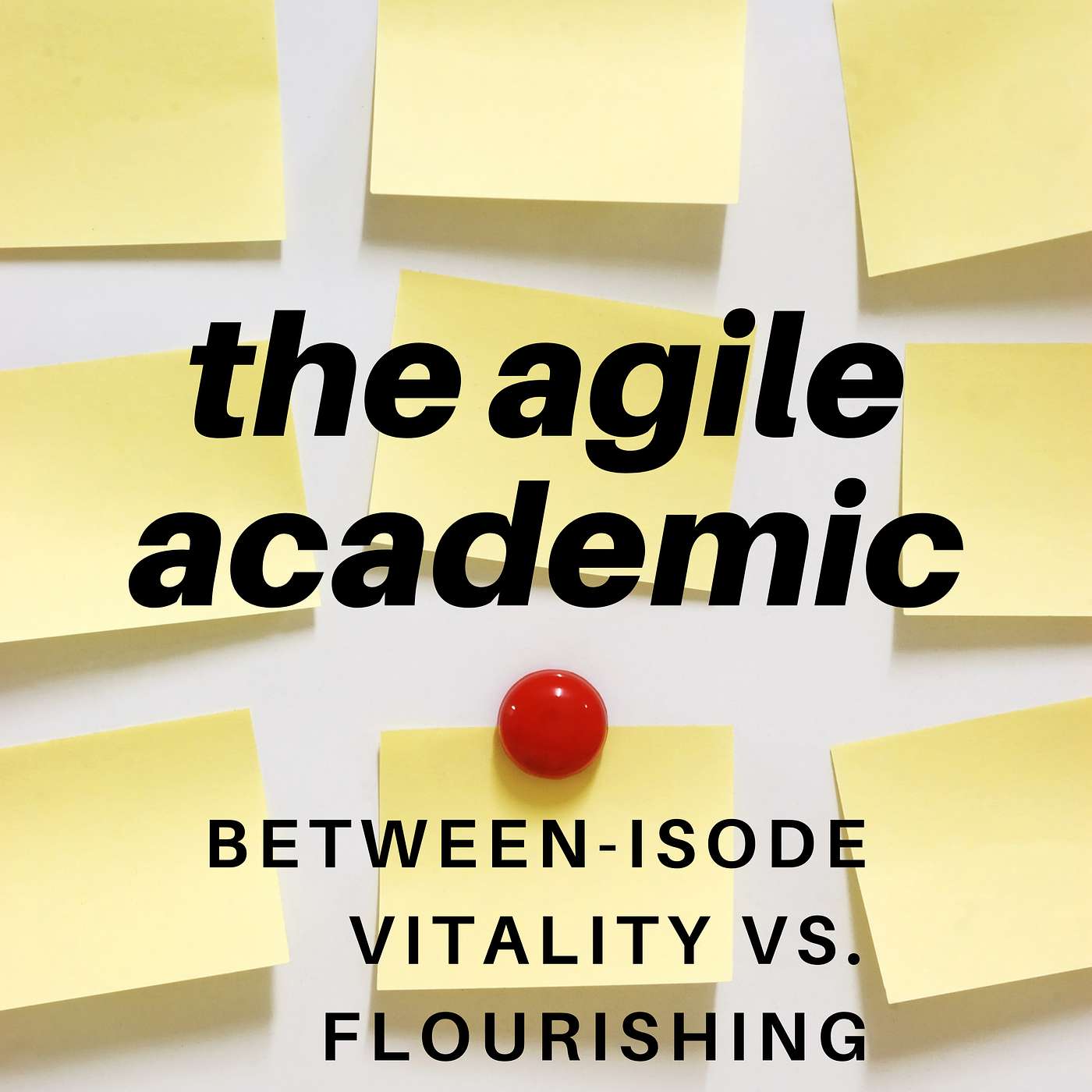 the agile academic