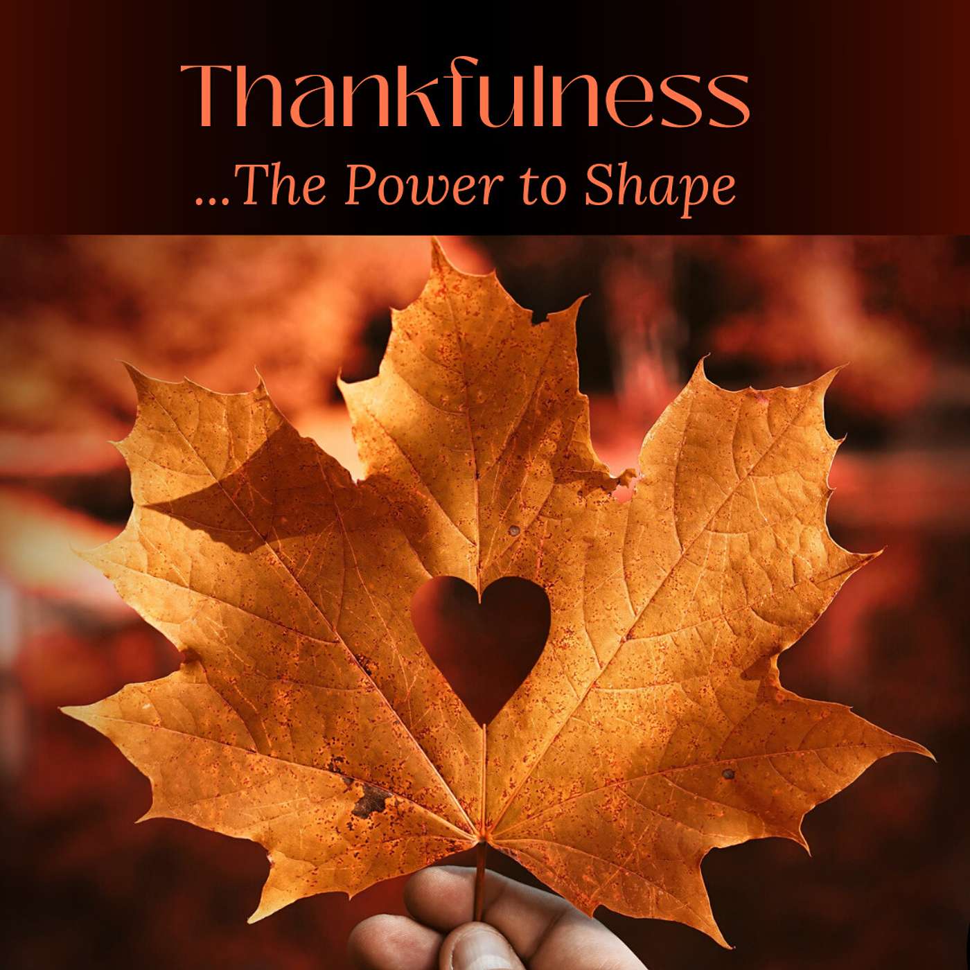 Thankfulness - The Power to Shape - Scott Roe