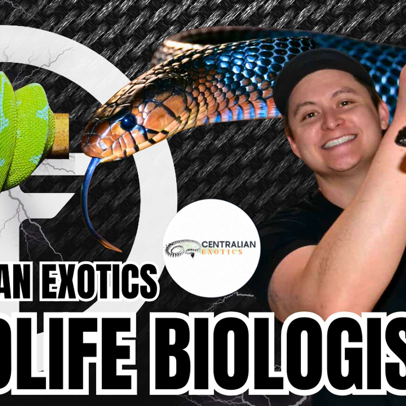 Being A Wild Life Biologist & A Legit Bad Ass Snake Breeder | Trap Talk With MJ (Live)