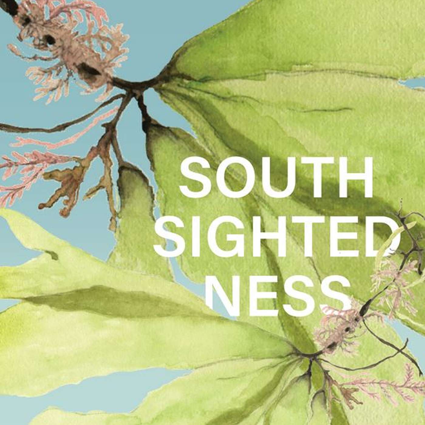 Southsightedness, author Gregory Day
