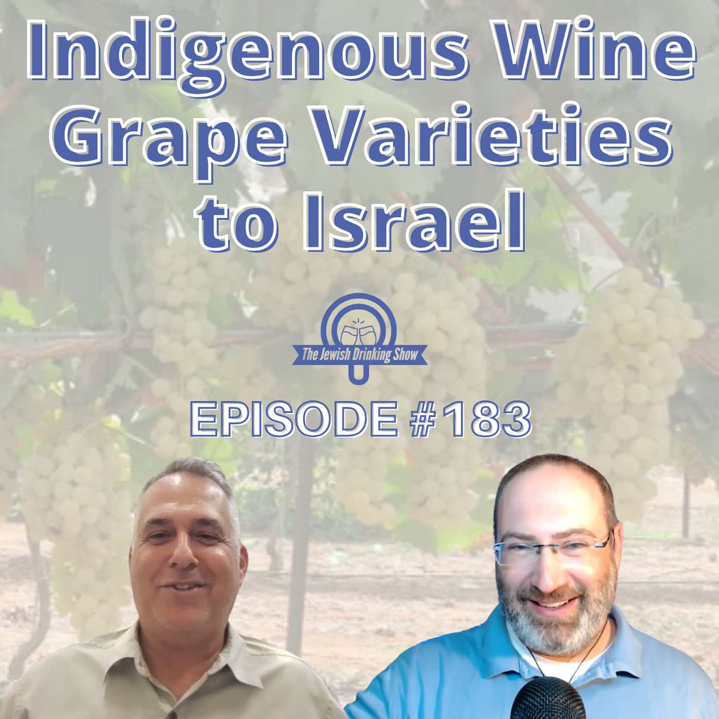 Indigenous Wine Grape Varieties to Israel, featuring Professor Shivi Drori [The Jewish Drinking Show episode #183]