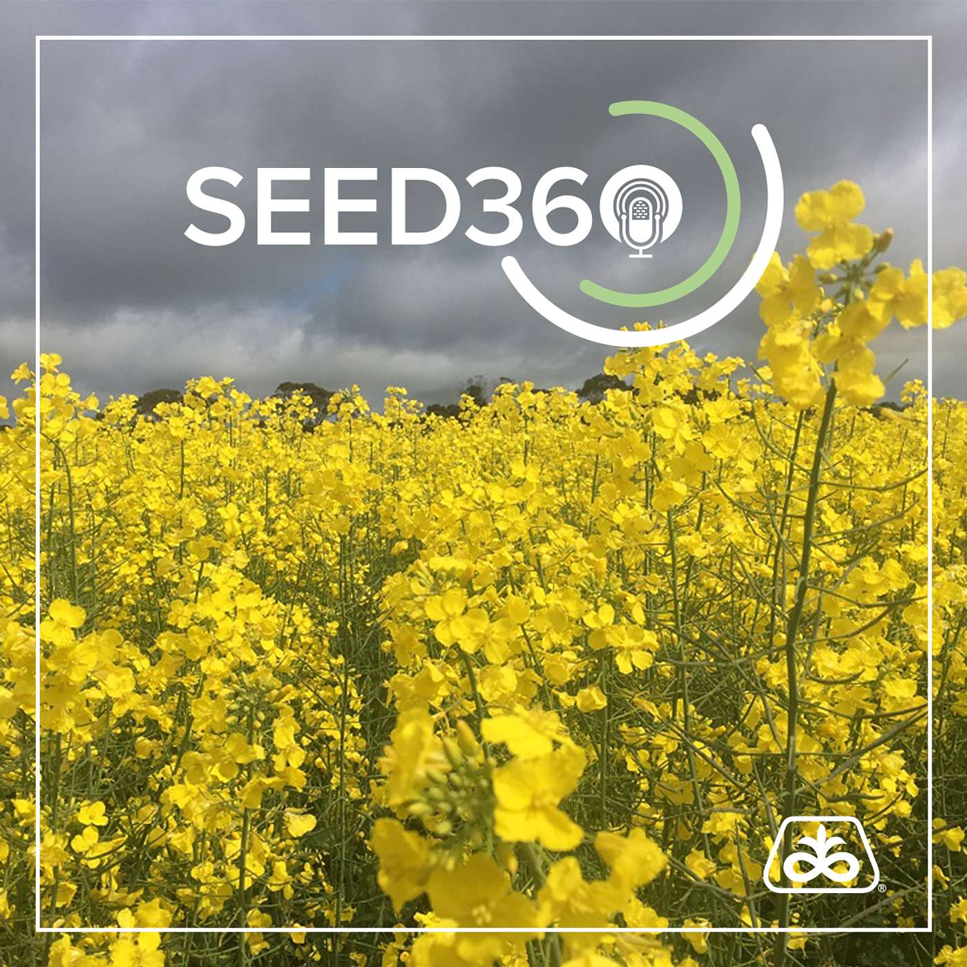 How Hybrid Canola has evolved in the Australian Market with Clint Rogers