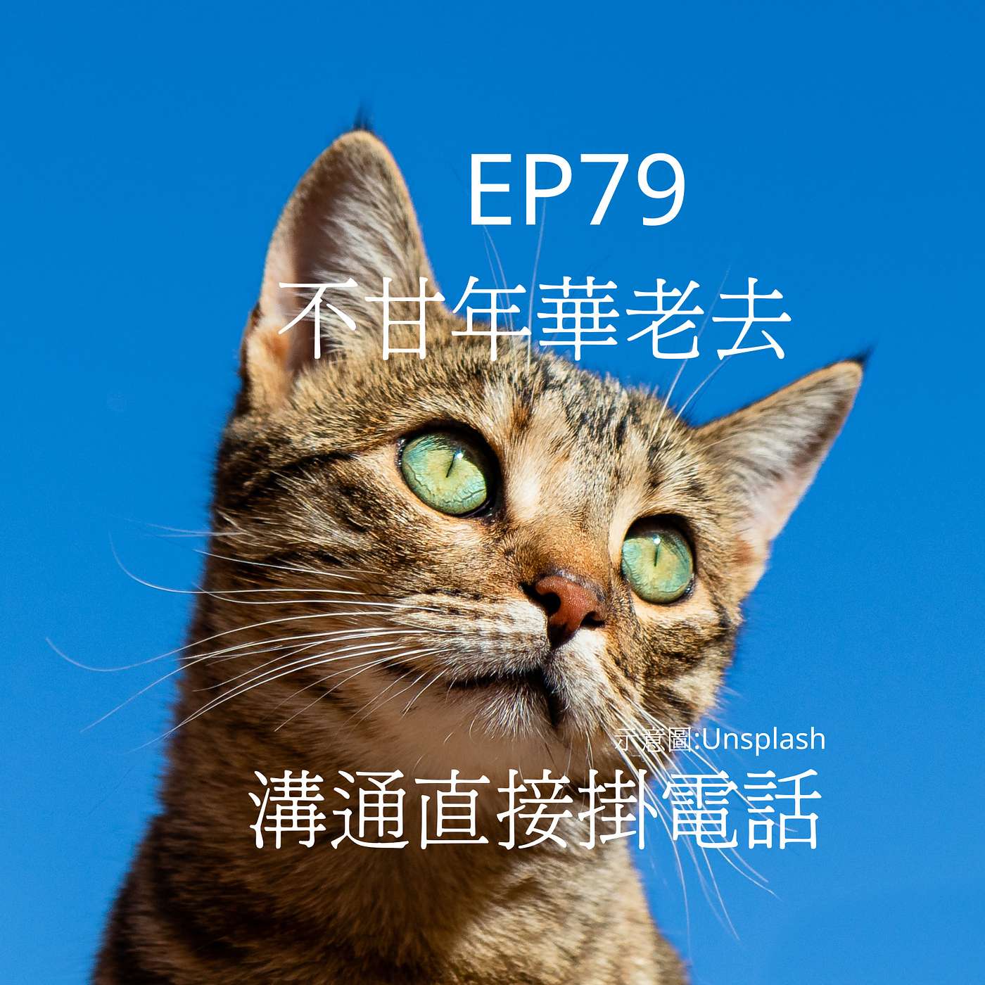 【Podcast】從0到1媒體人X斜槓 EP79 貓咪生病不開心 碎碎念年華老去直接”掛電話” episode artwork