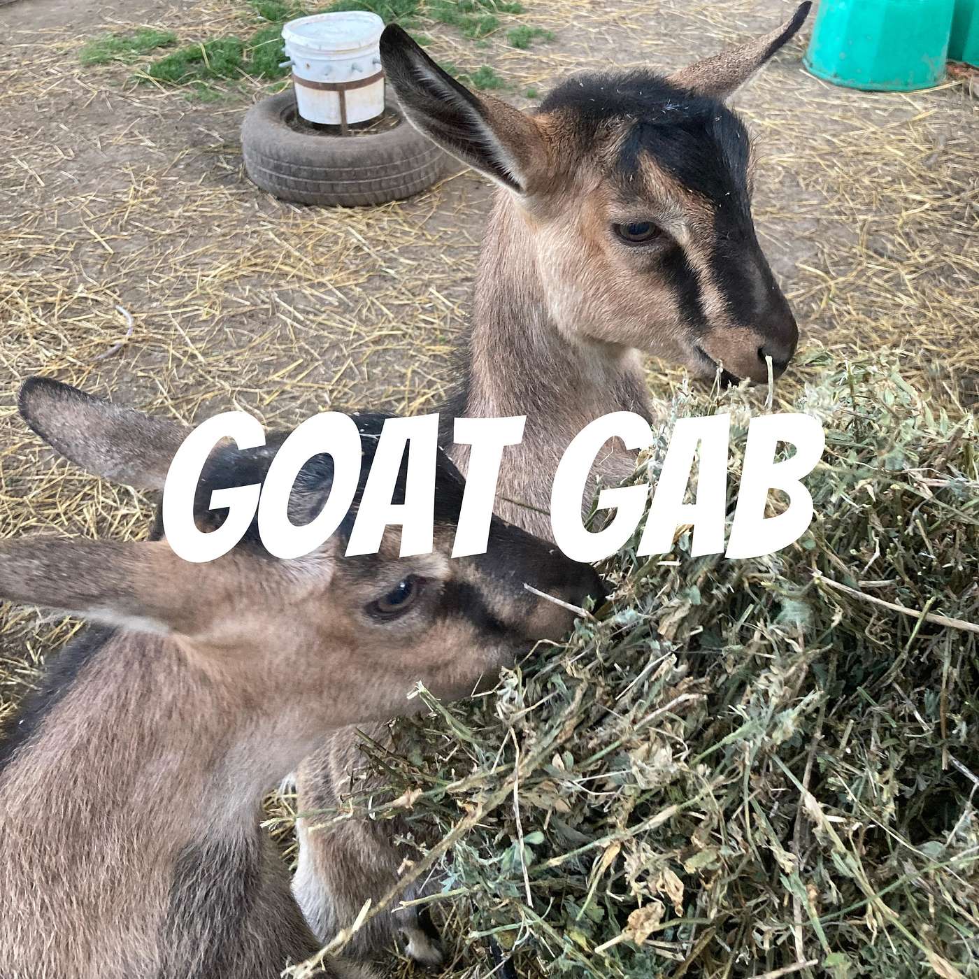 Goat Gab