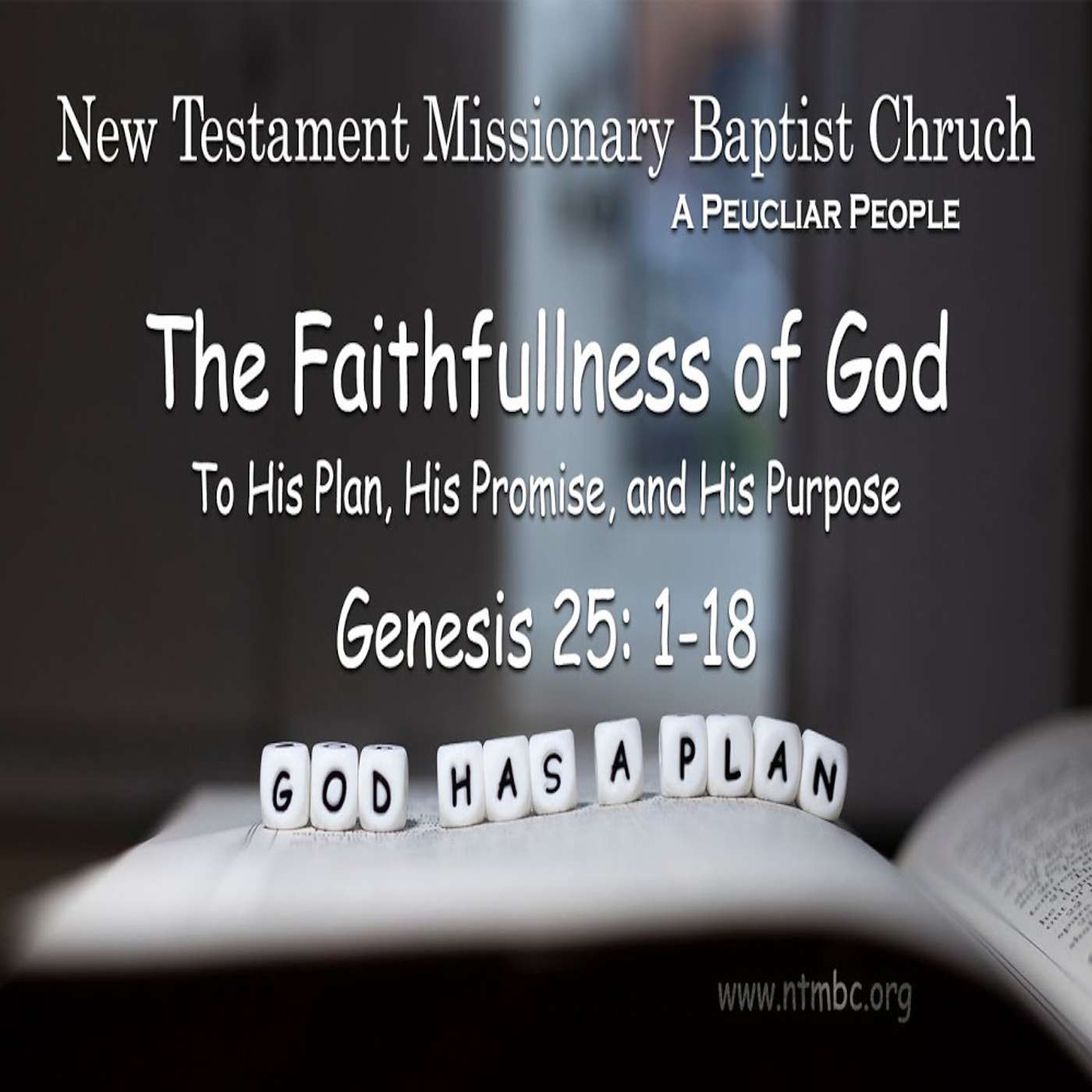 A Peculiar People: The Faithfulness of God to His Plan, His Promise, His Purpose, Genesis 25:1-18 (Audio)