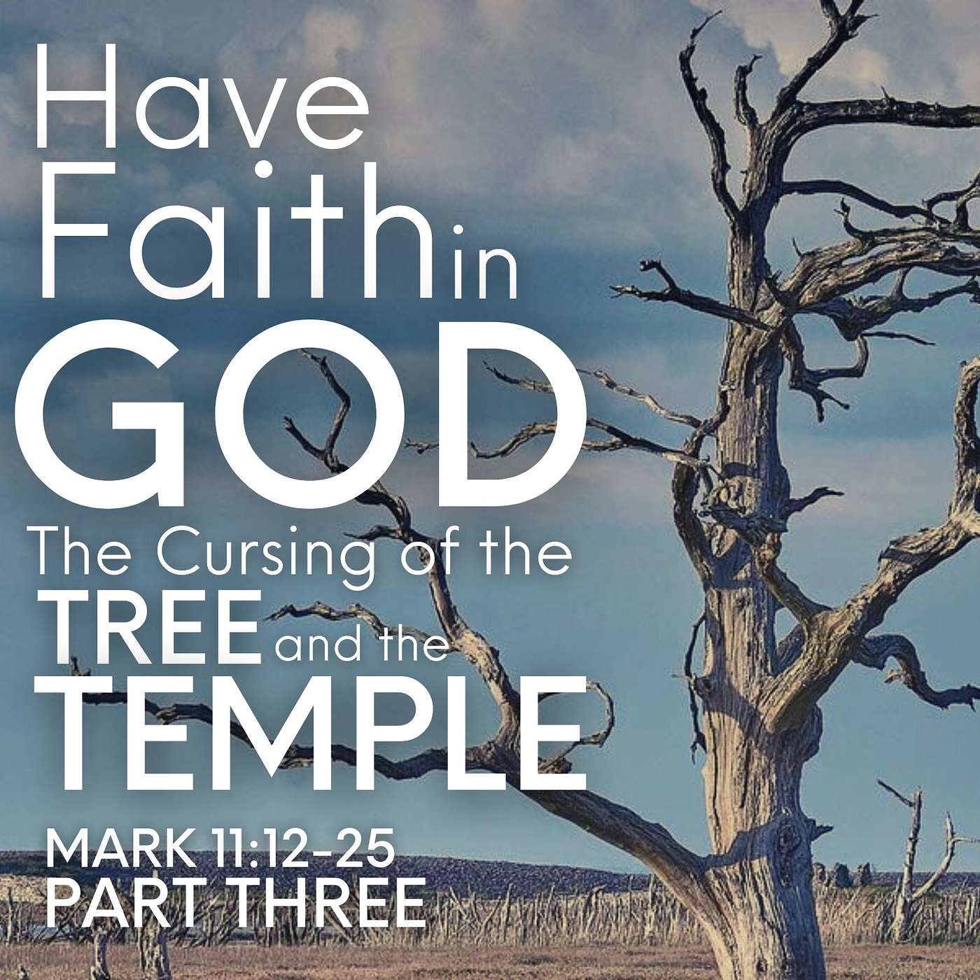 Have Faith in God: The Cursing of the Tree and the Temple, Part 3; Triumphal Entrance Sunday