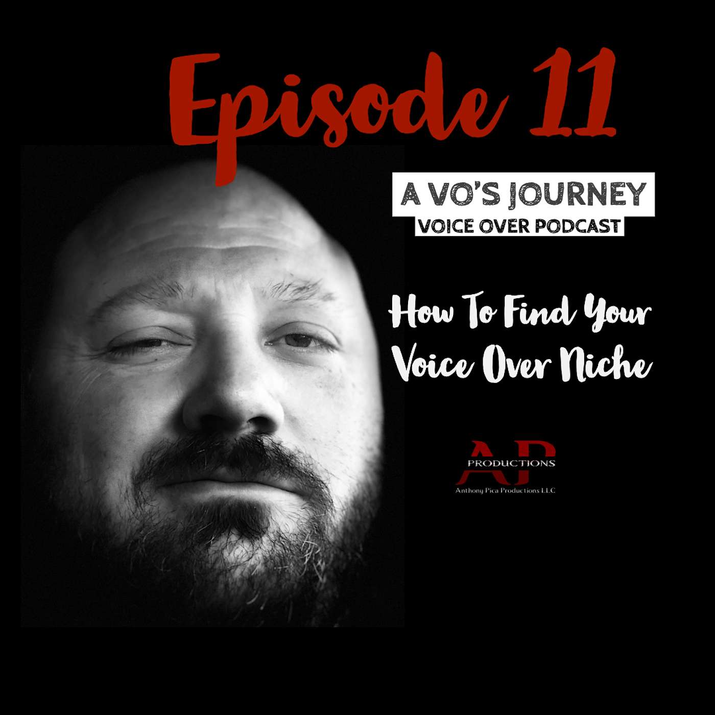 Ep. 11: How To Find Your Voice Over Niche