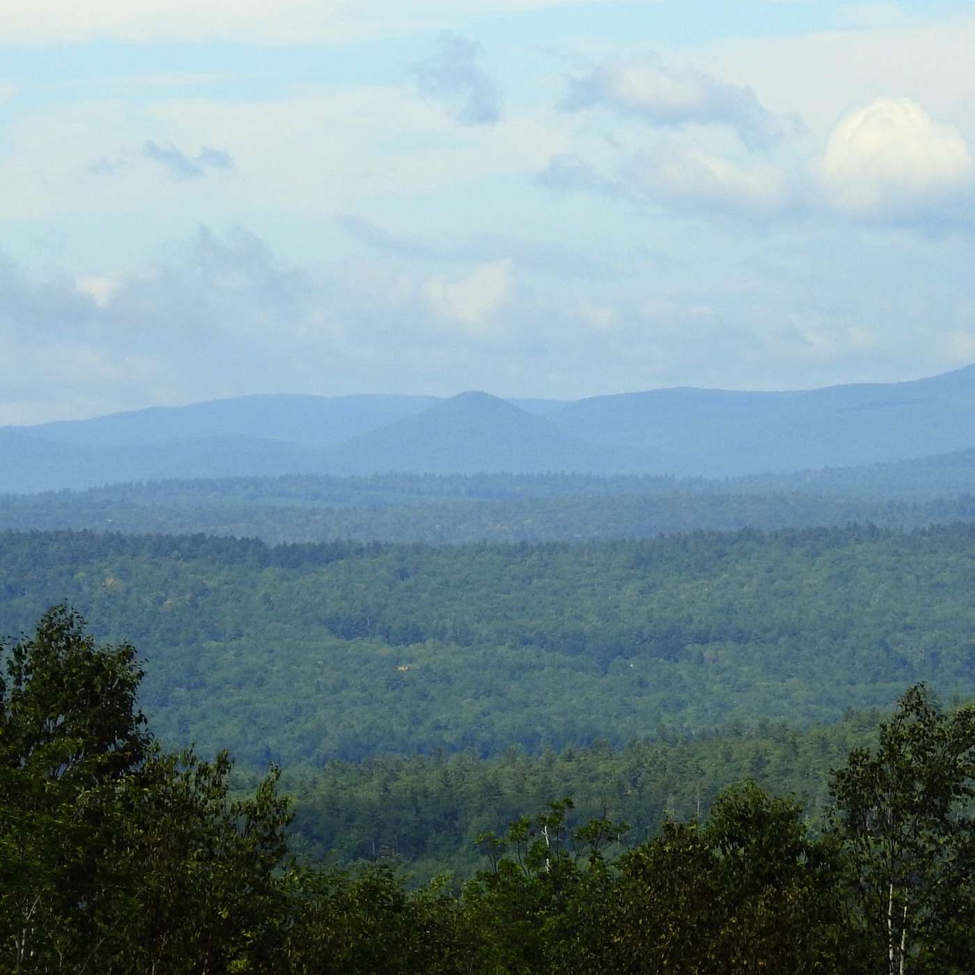 YOUNG MOUNTAIN