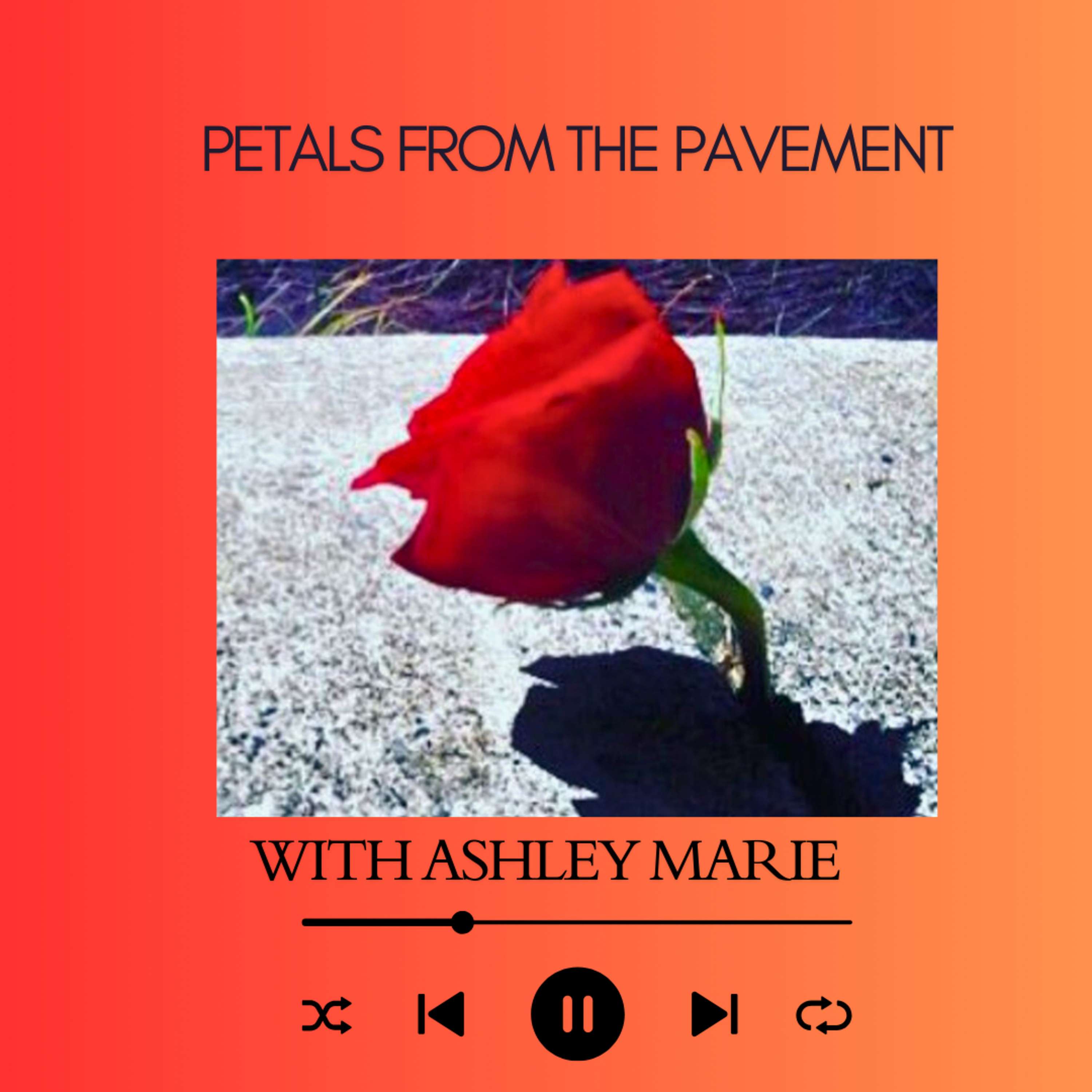Petals From the Pavement
