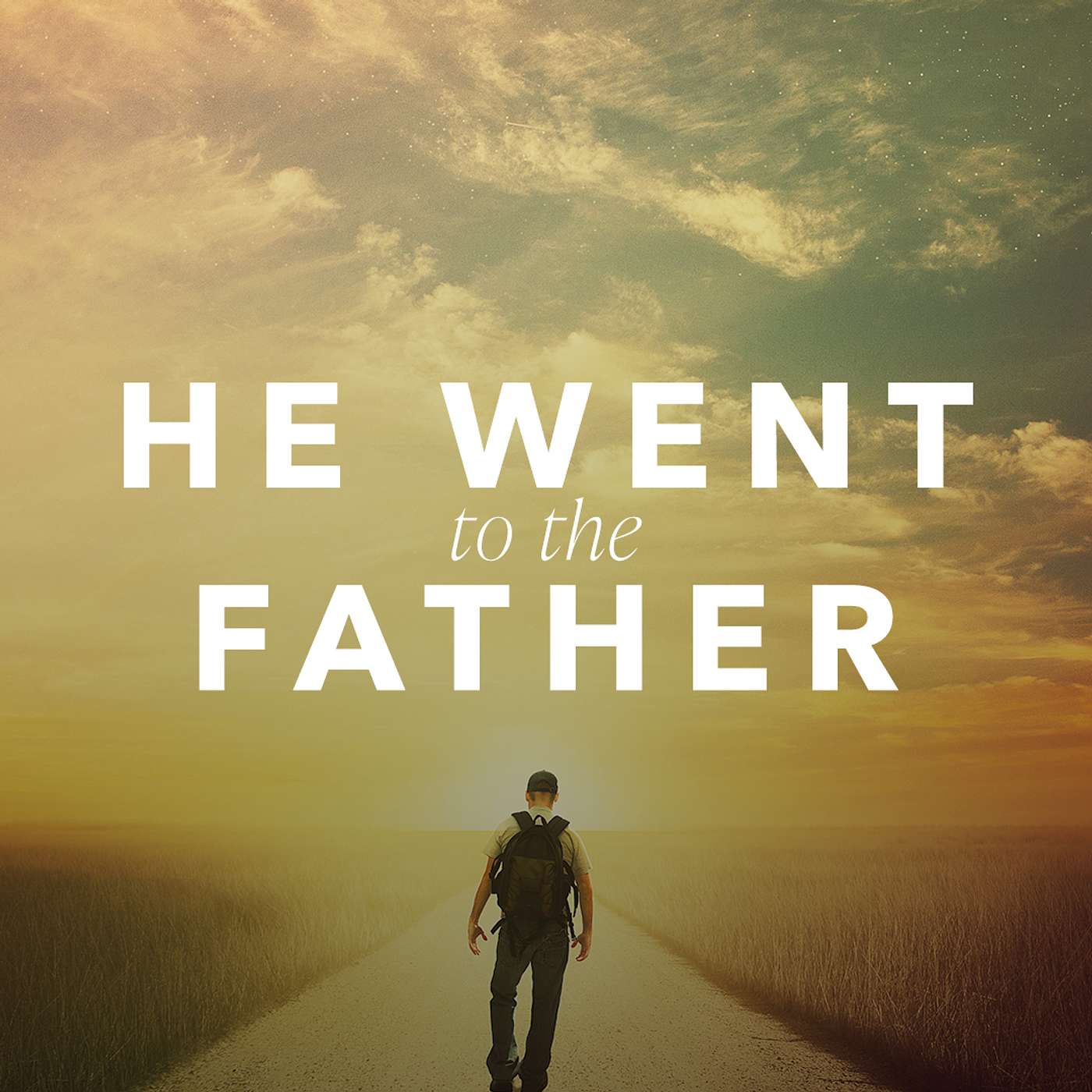 He Went to the Father - Luke 15 episode artwork