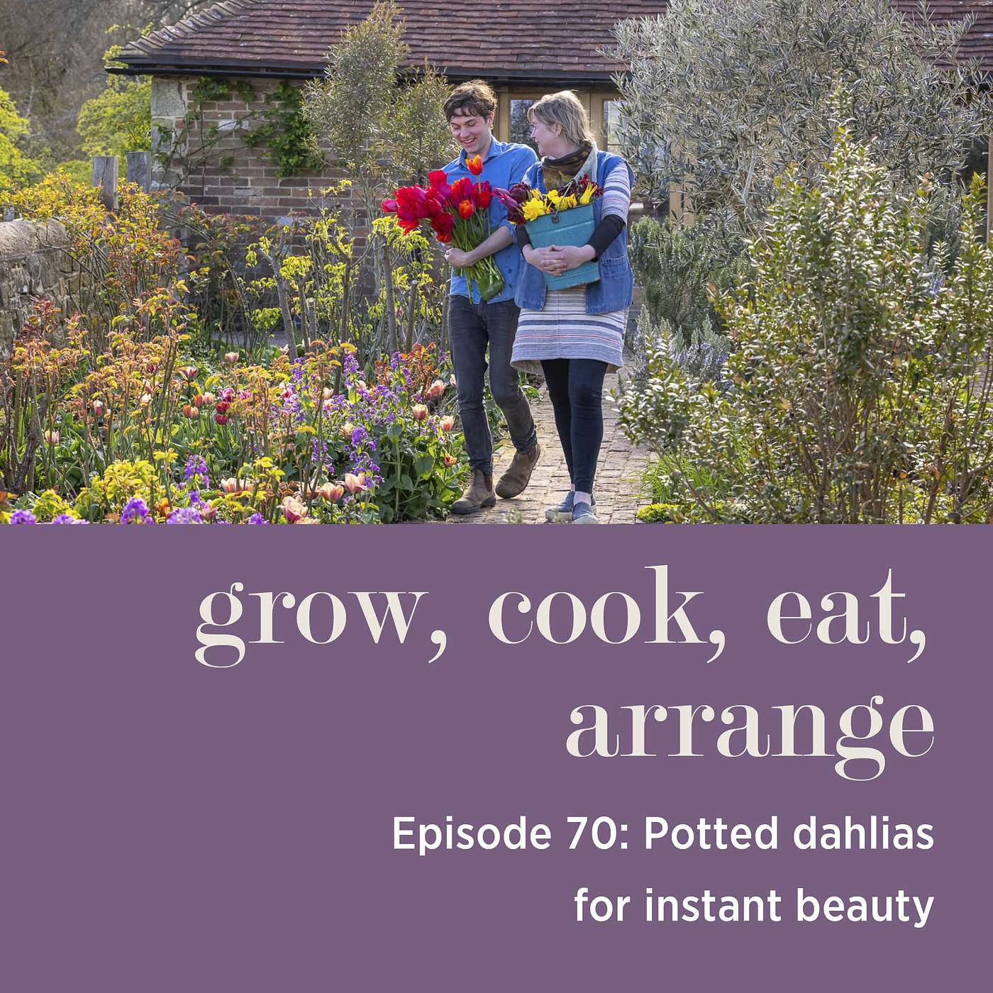 cover of episode Potted Dahlias for Instant Beauty - Episode 70