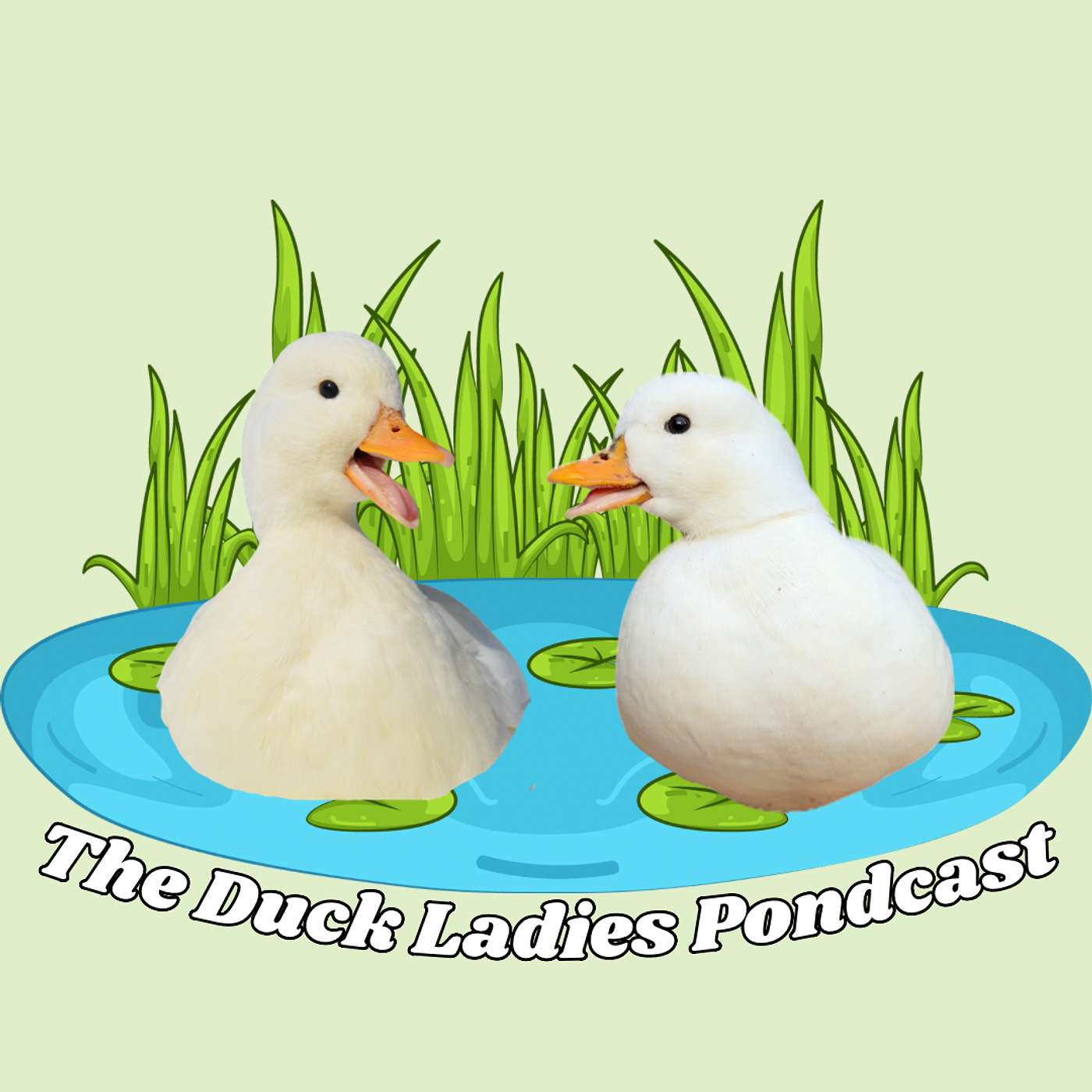 The Duck Ladies Pondcast cover art