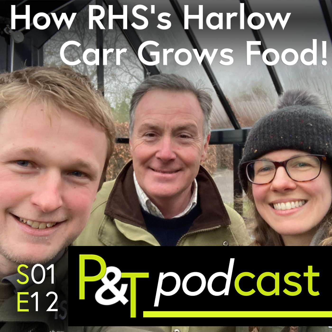 RHS Harlow Carr Visit, Plus: Chicory, Rhubarb & Kalettes!