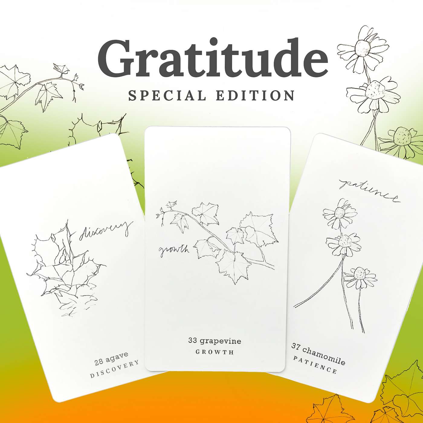 Gratitude Blooming Podcast
