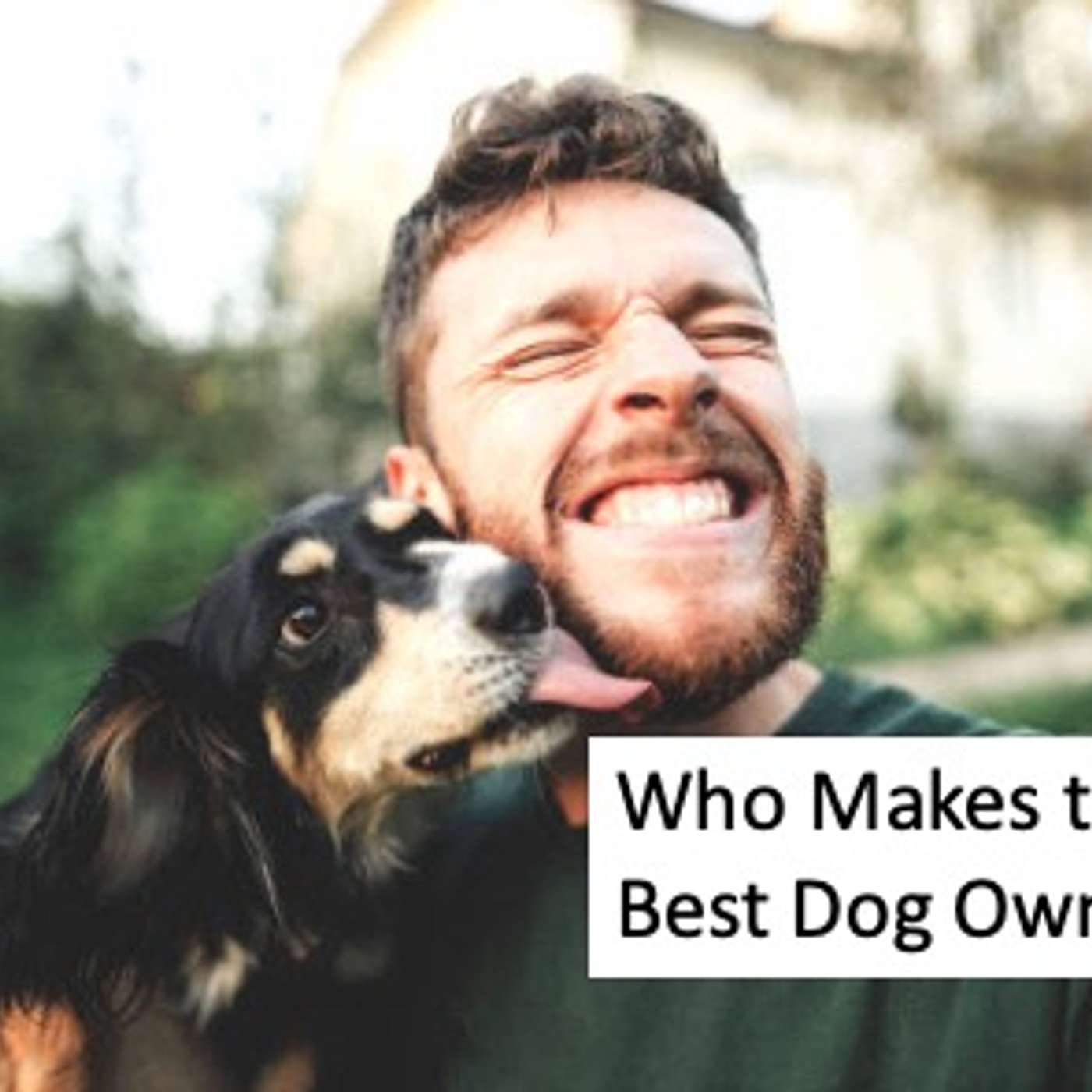 Who makes the best dog owner?