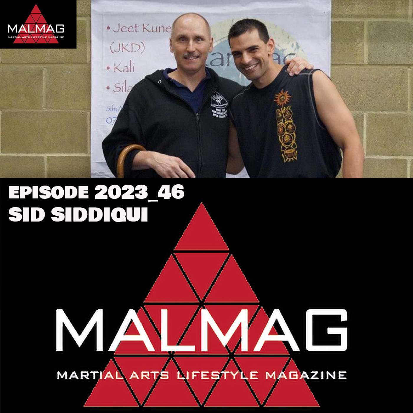 The Martial Arts Lifestyle Podcast