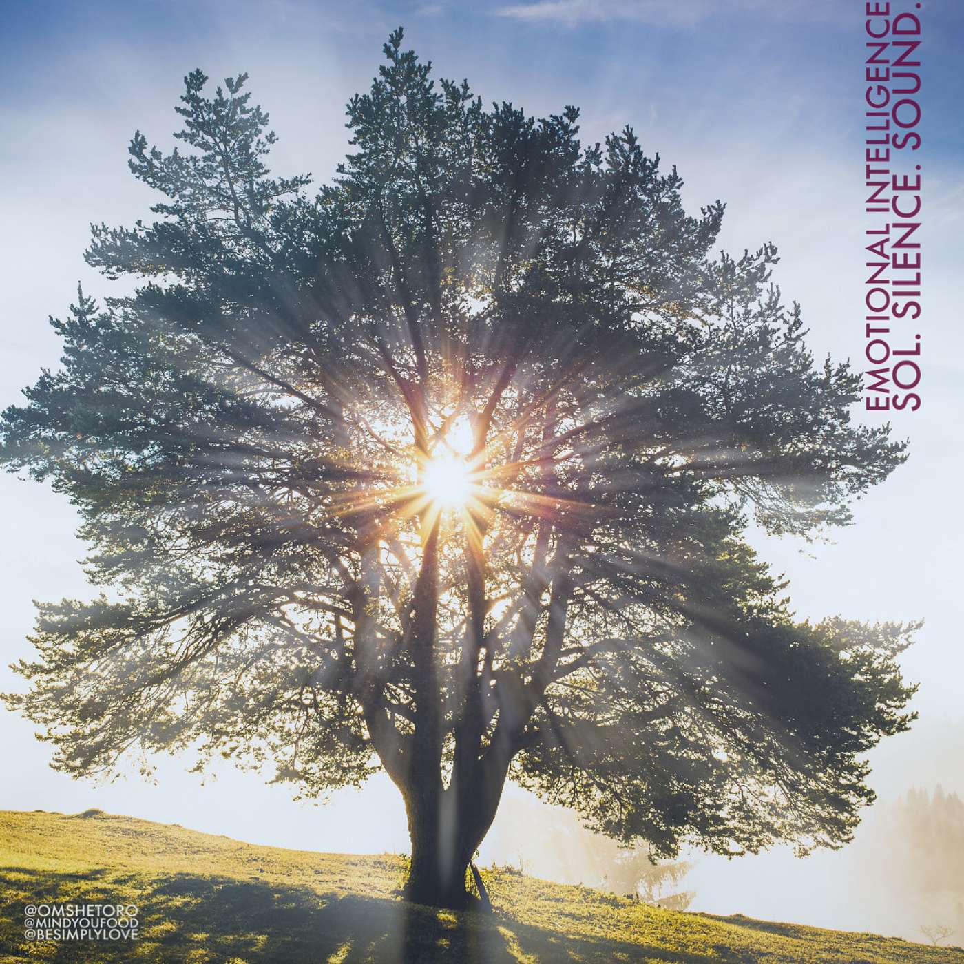 BeSimply...Emotional Intelligence {Sol. Silence. Sound}