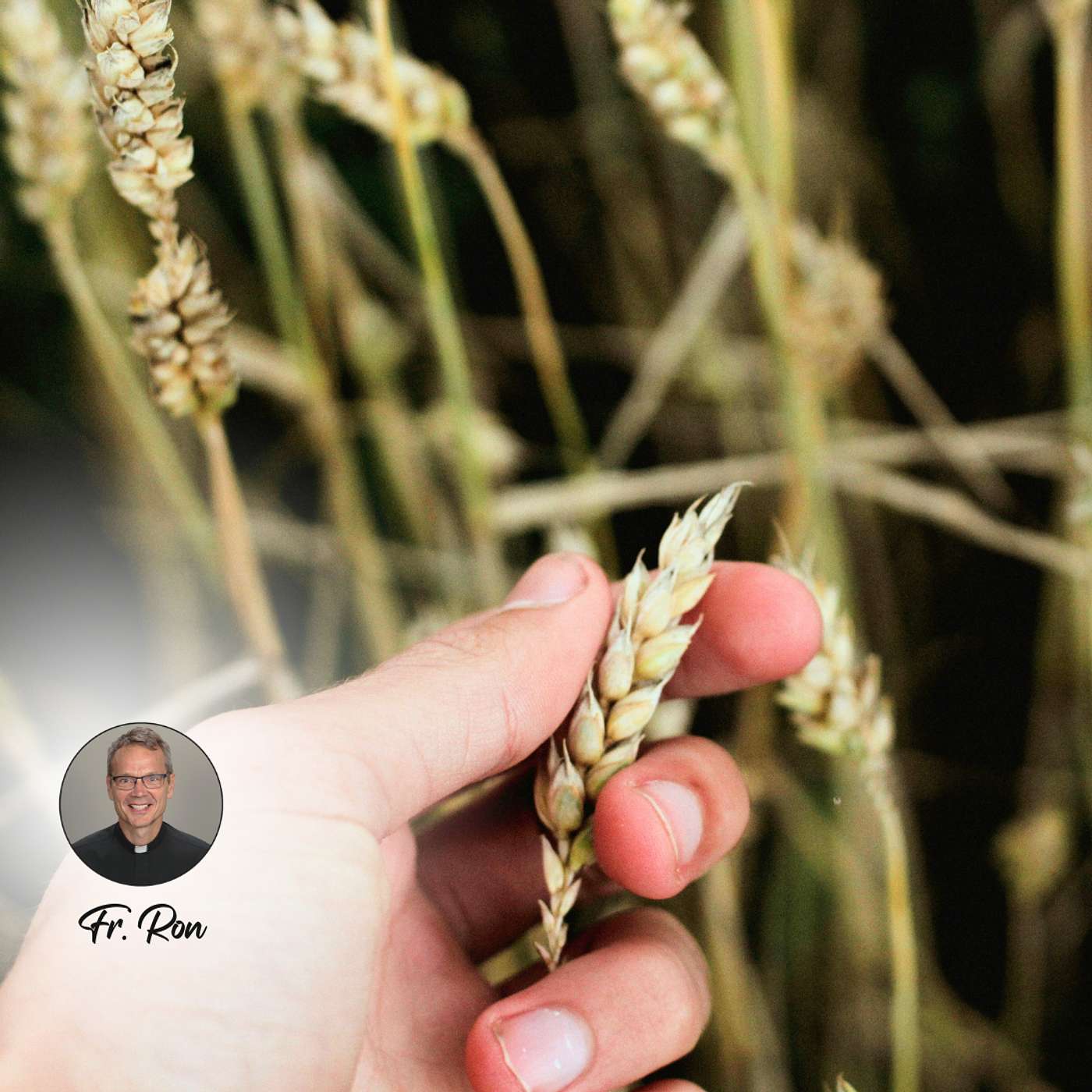 1/30 - Nothing and Everything