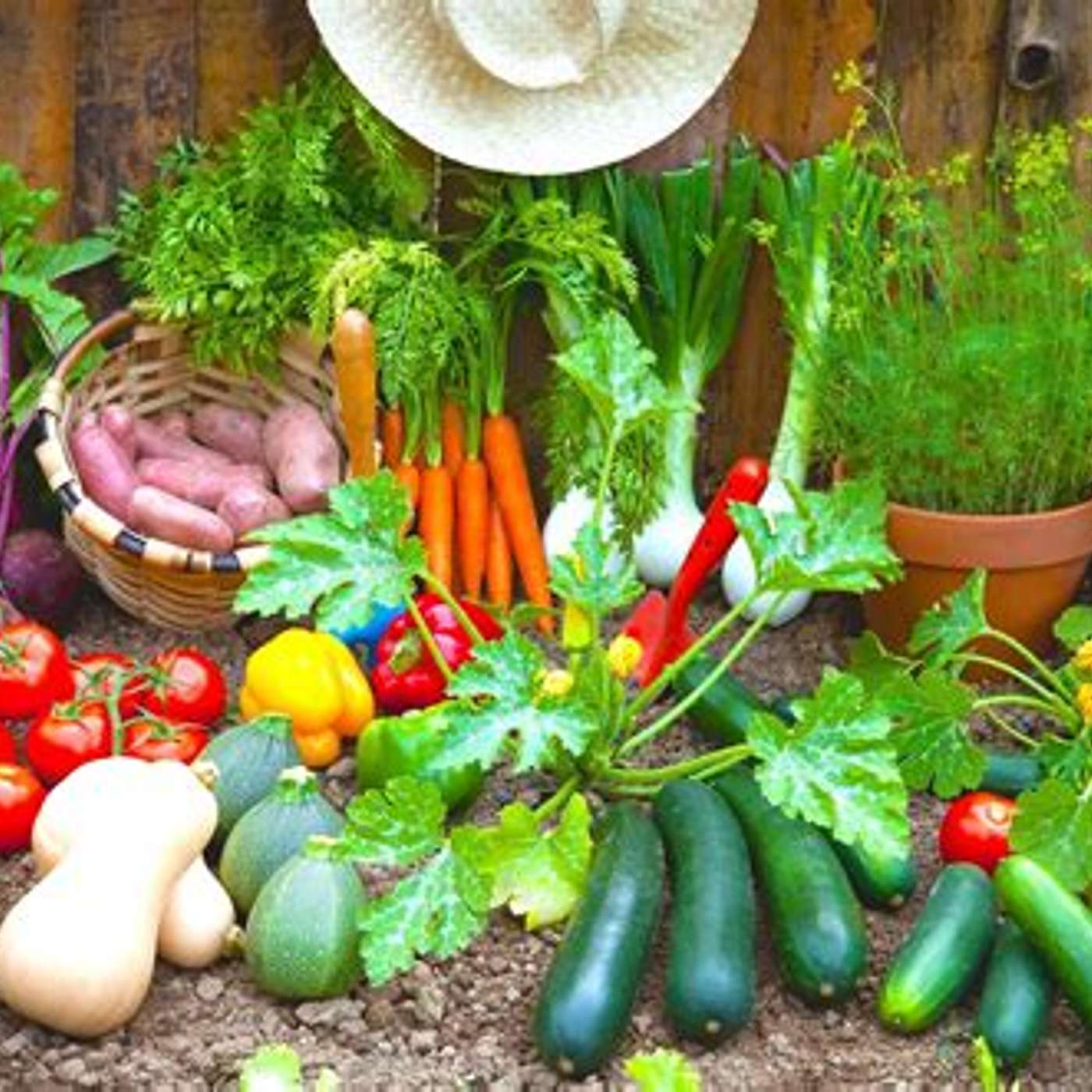 Rethinking your home garden episode artwork