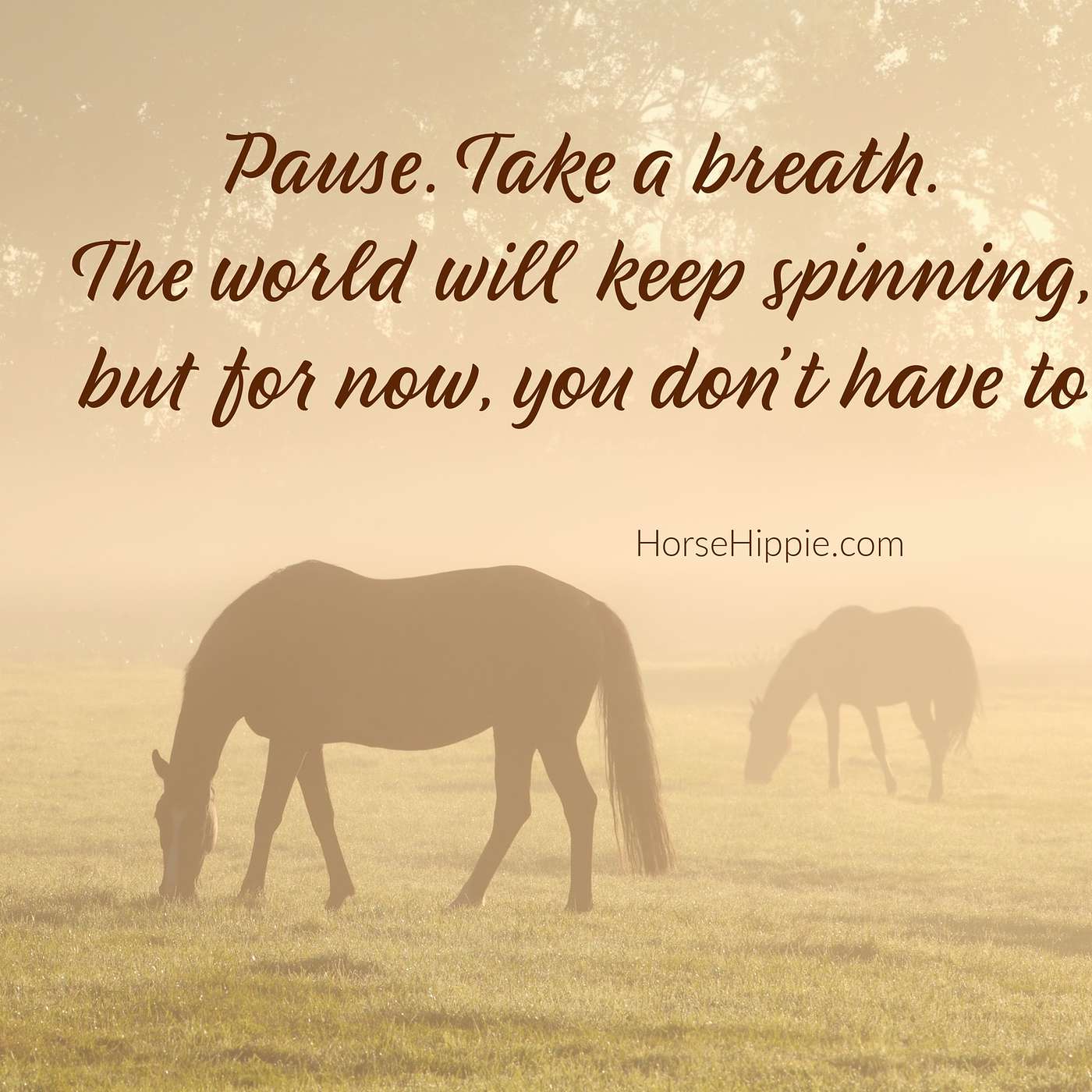 Sit With Your Anxiety