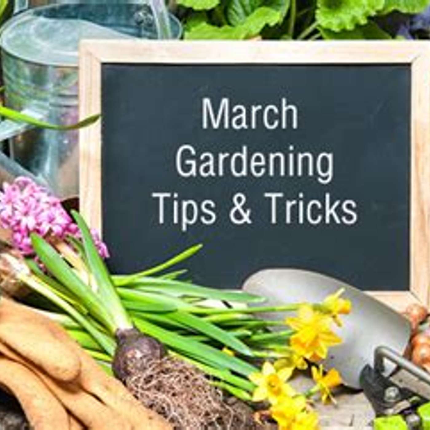 March Gardening episode artwork