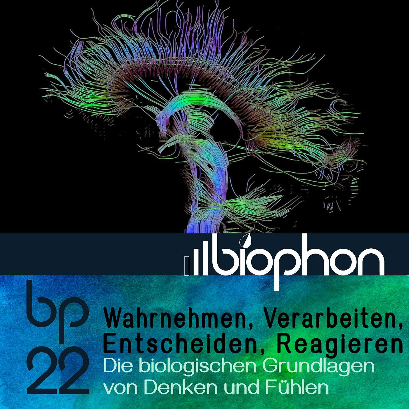 biophon - Geschichten aus Biowissenschaft und Forschung