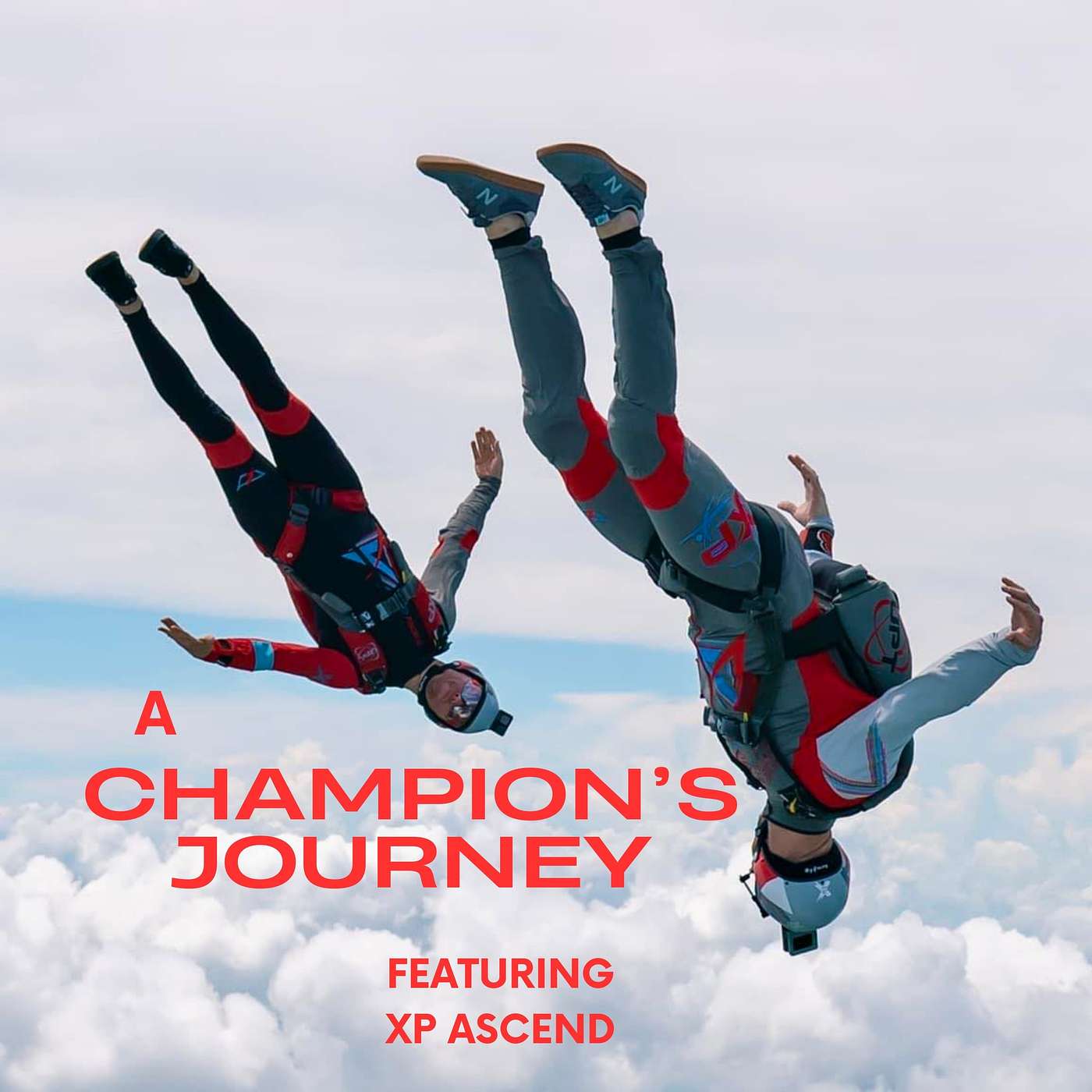 A Champion\'s Journey