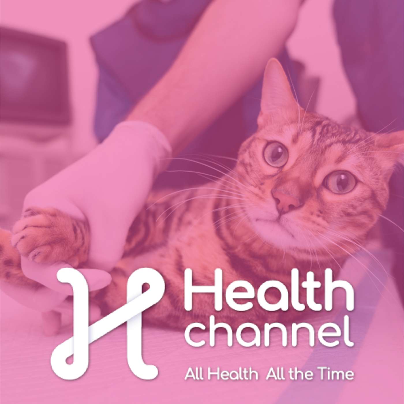 Coughing, Sneezing & Sniffles: What Your Pet’s Breathing Is Telling You | Ask the Doc