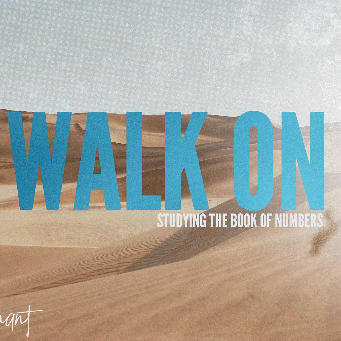 Walk On: The Book of Numbers - Week Six episode artwork
