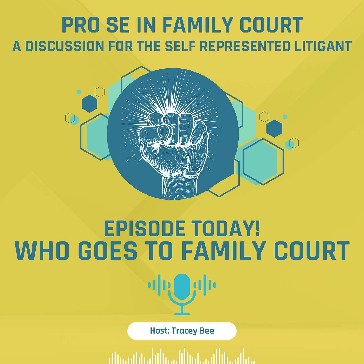 Episode 2: Who Goes To Family Court episode artwork