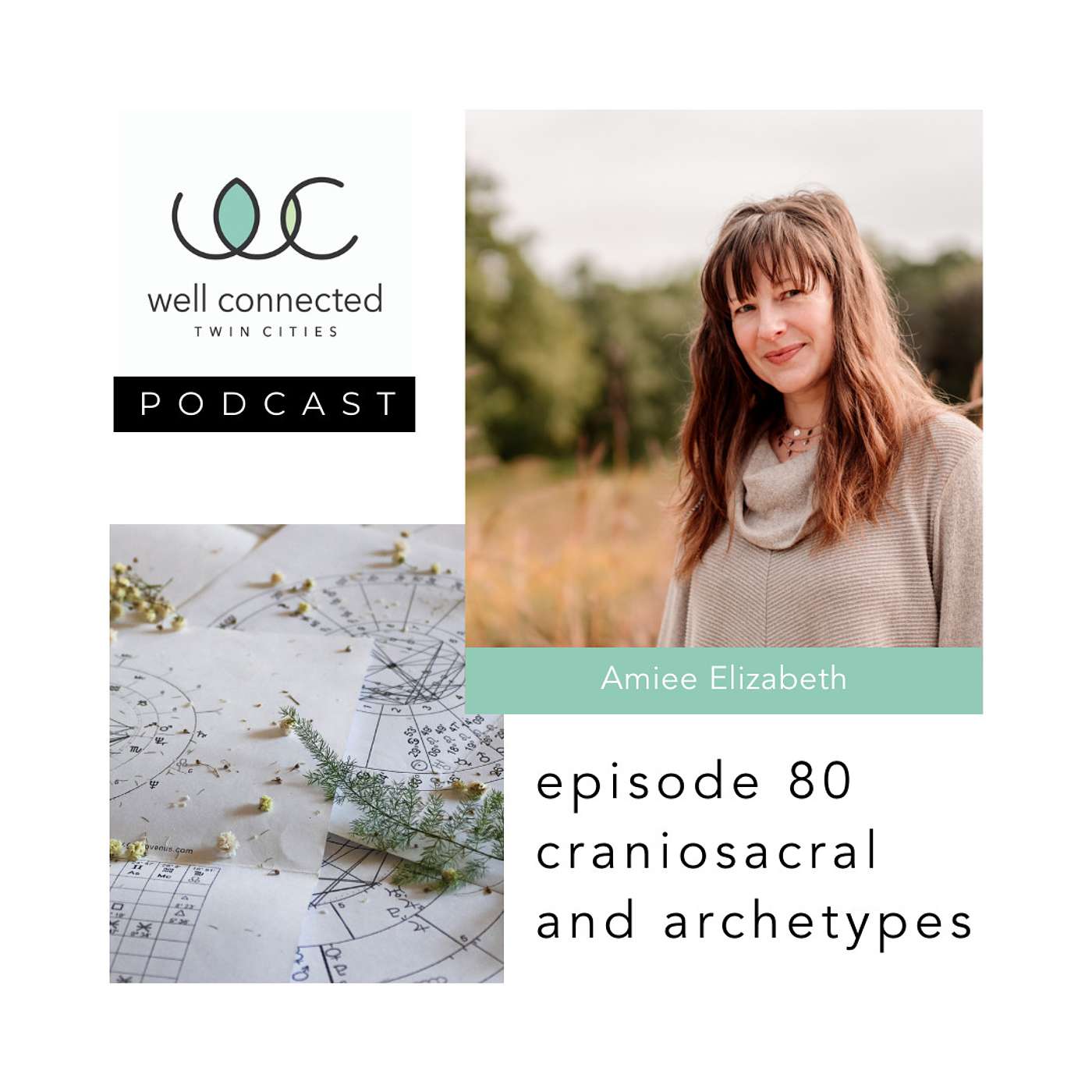 Well Connected Twin Cities Podcast