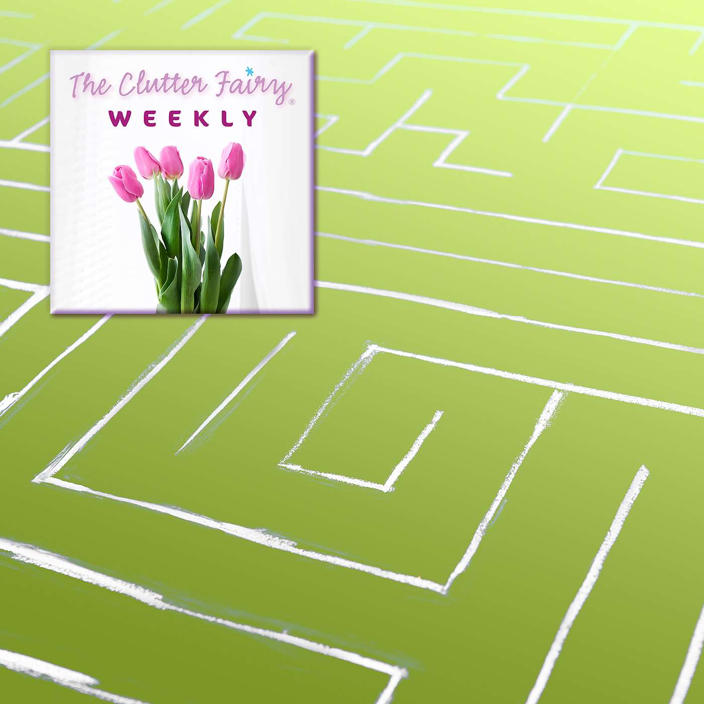 You and Your Stuff: Crafting a Philosophy of Decluttering - The Clutter Fairy Weekly #134
