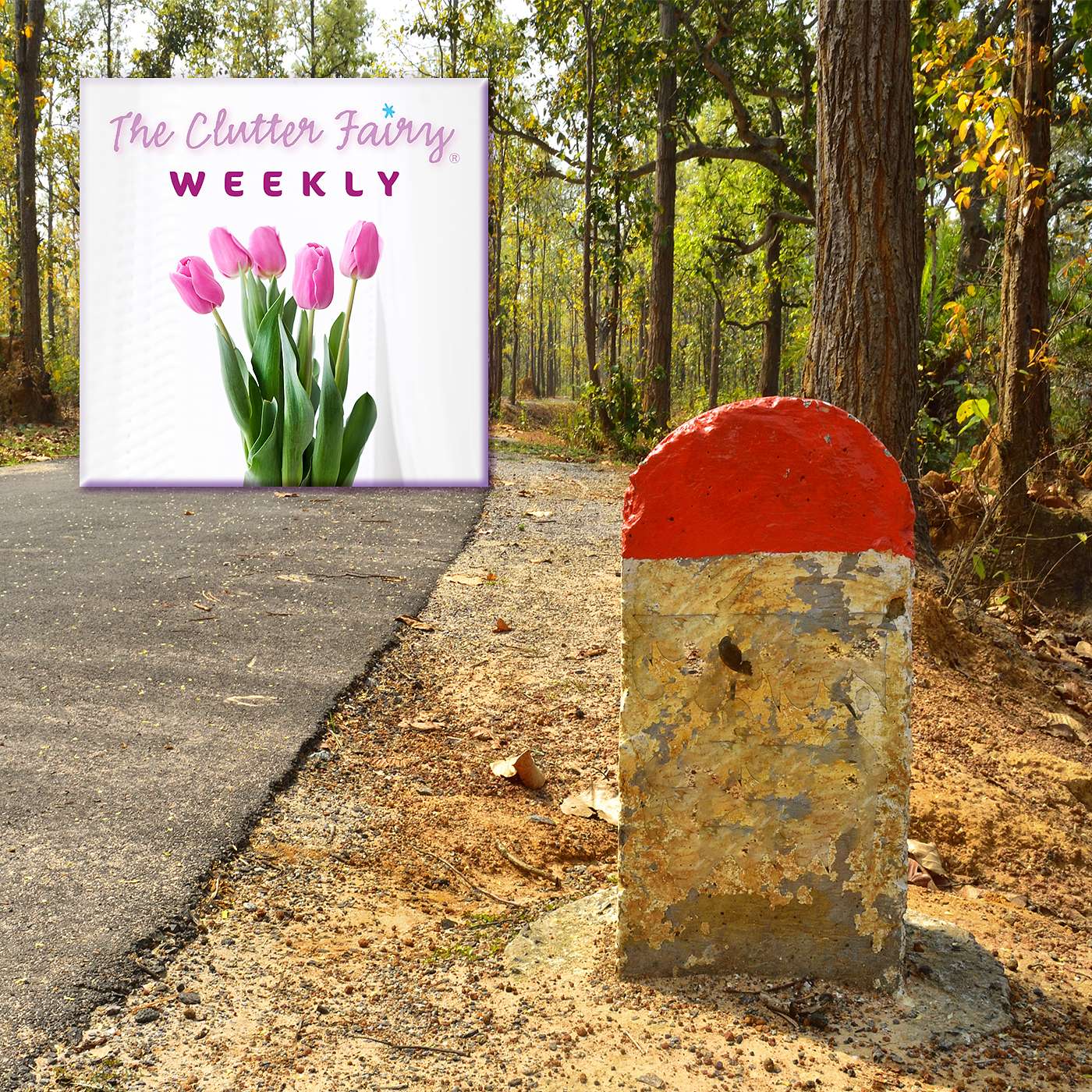 Landmarks and Losses: Organizing Around Life’s Memorable Moments - The Clutter Fairy Weekly #146