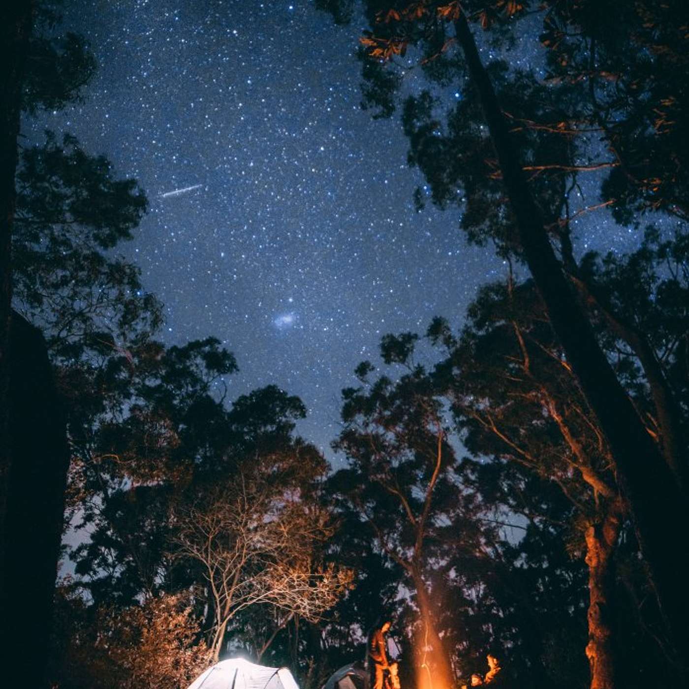 Scary Stories from Camp Roanoke
