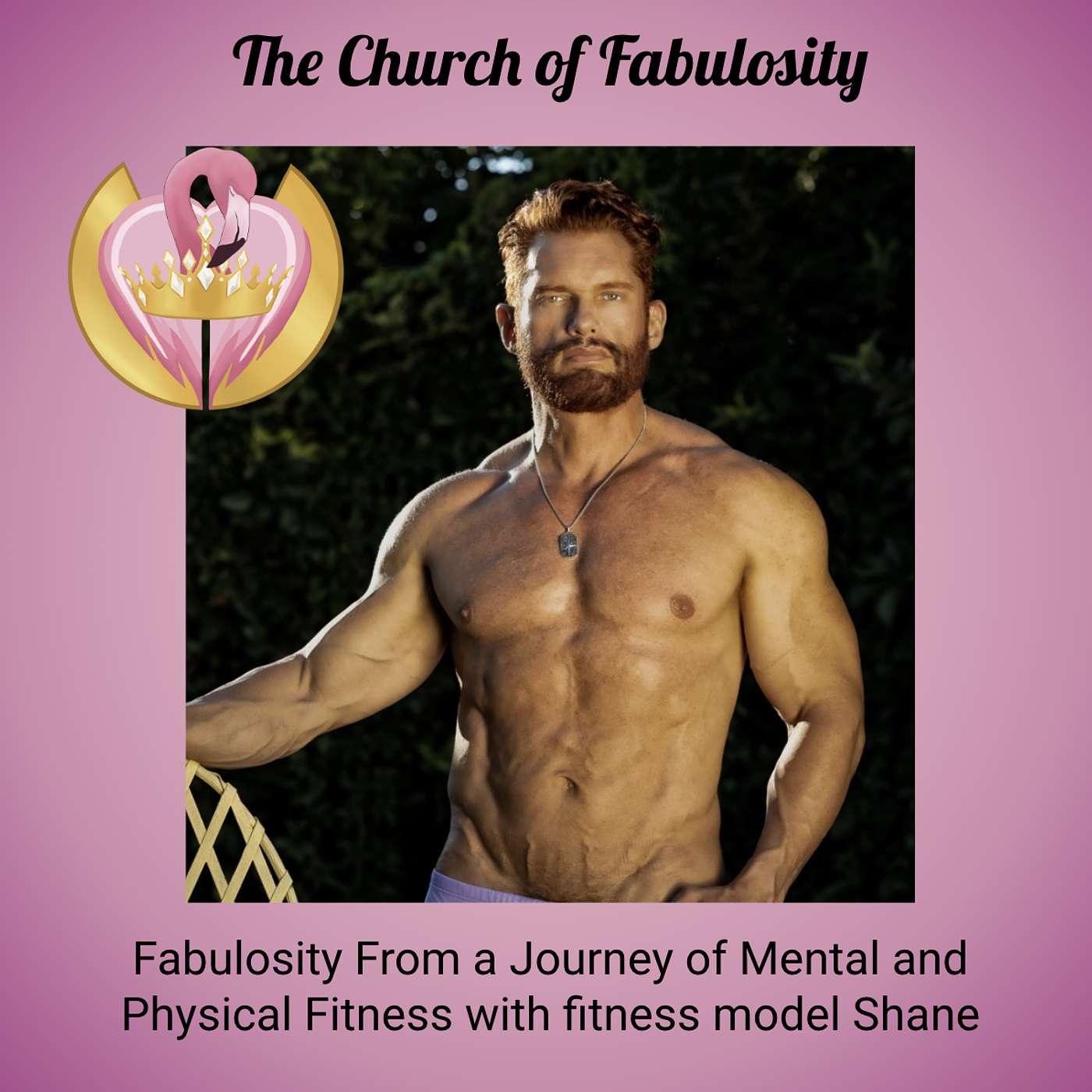 Fabulosity From a Journey of Mental and Physical Fitness with Fitness Model Shane episode artwork