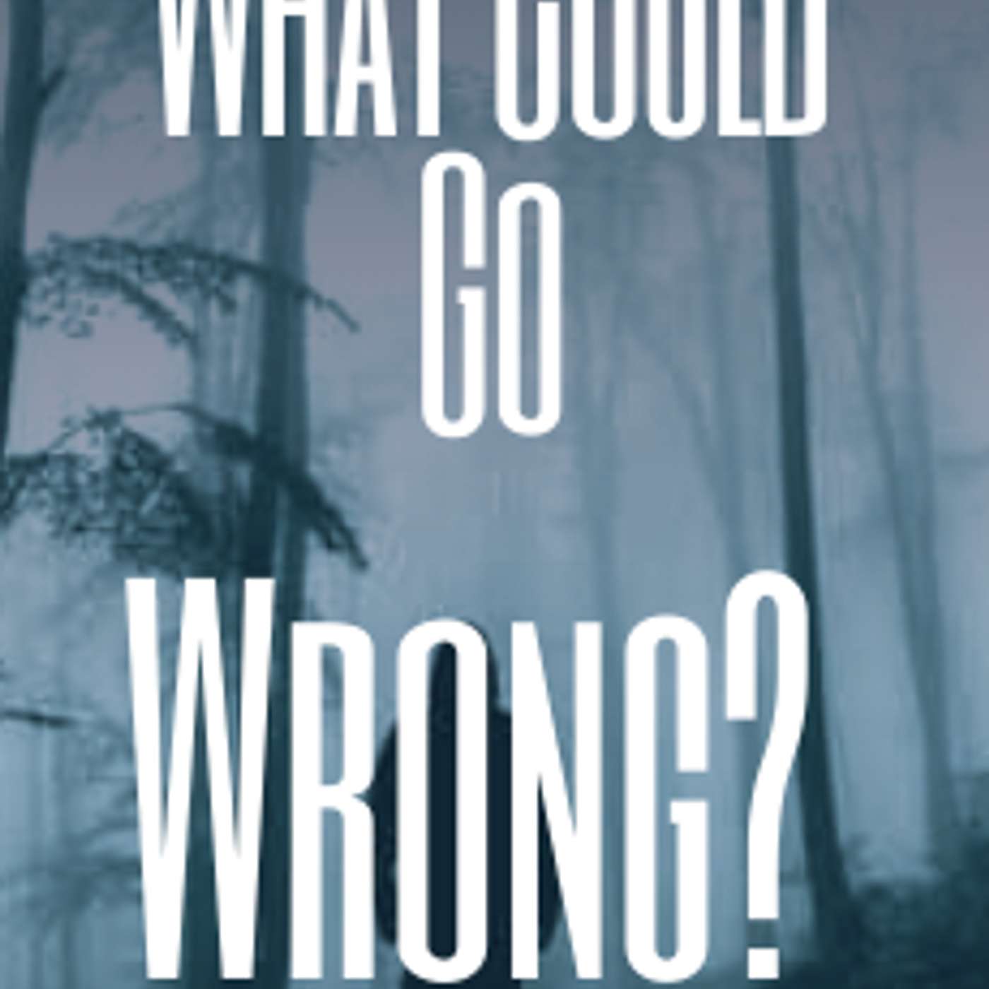 What Could Go Wrong? By Stella