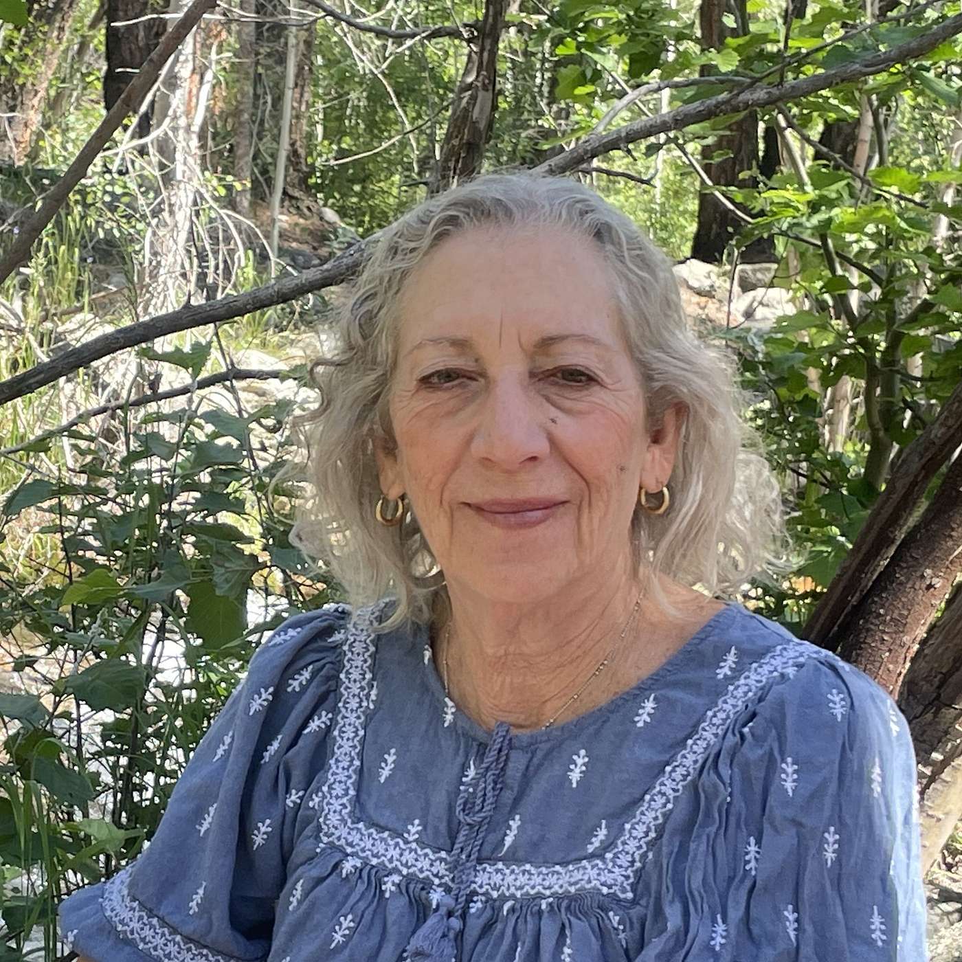 The Josh Bolton Show