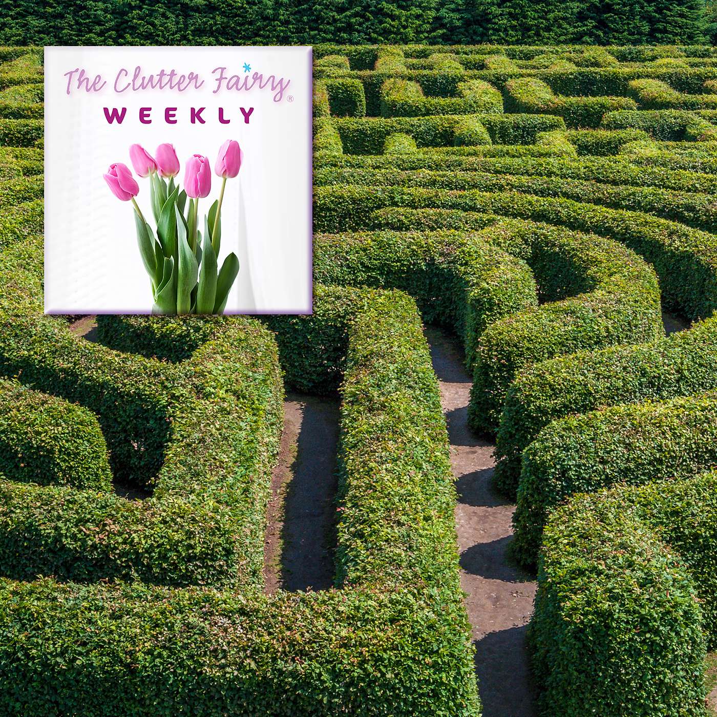 The Clutter Fairy Weekly #38 - Complex Choices: Ethical and Environmental Questions About Clutter