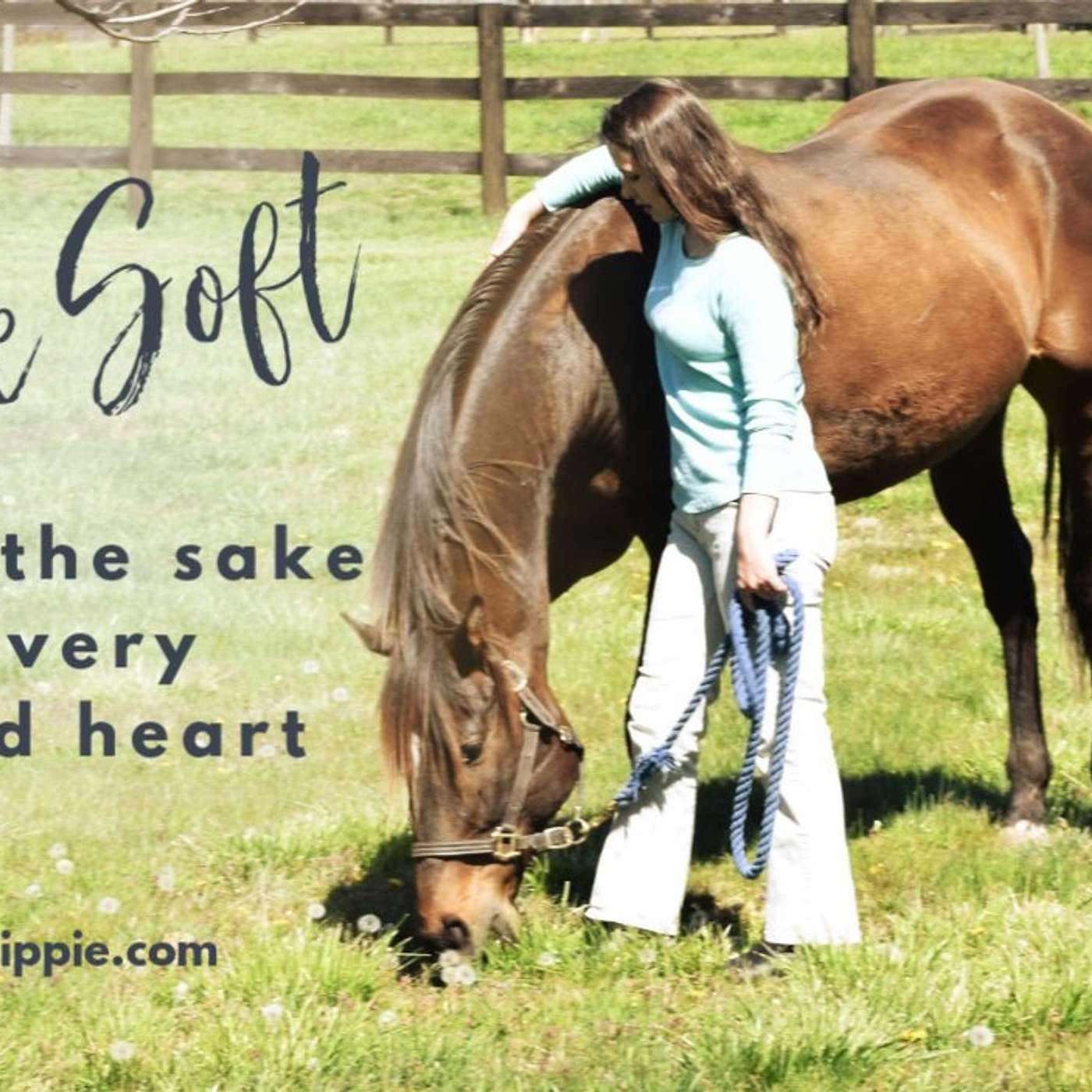 Stay Soft in a Hard World