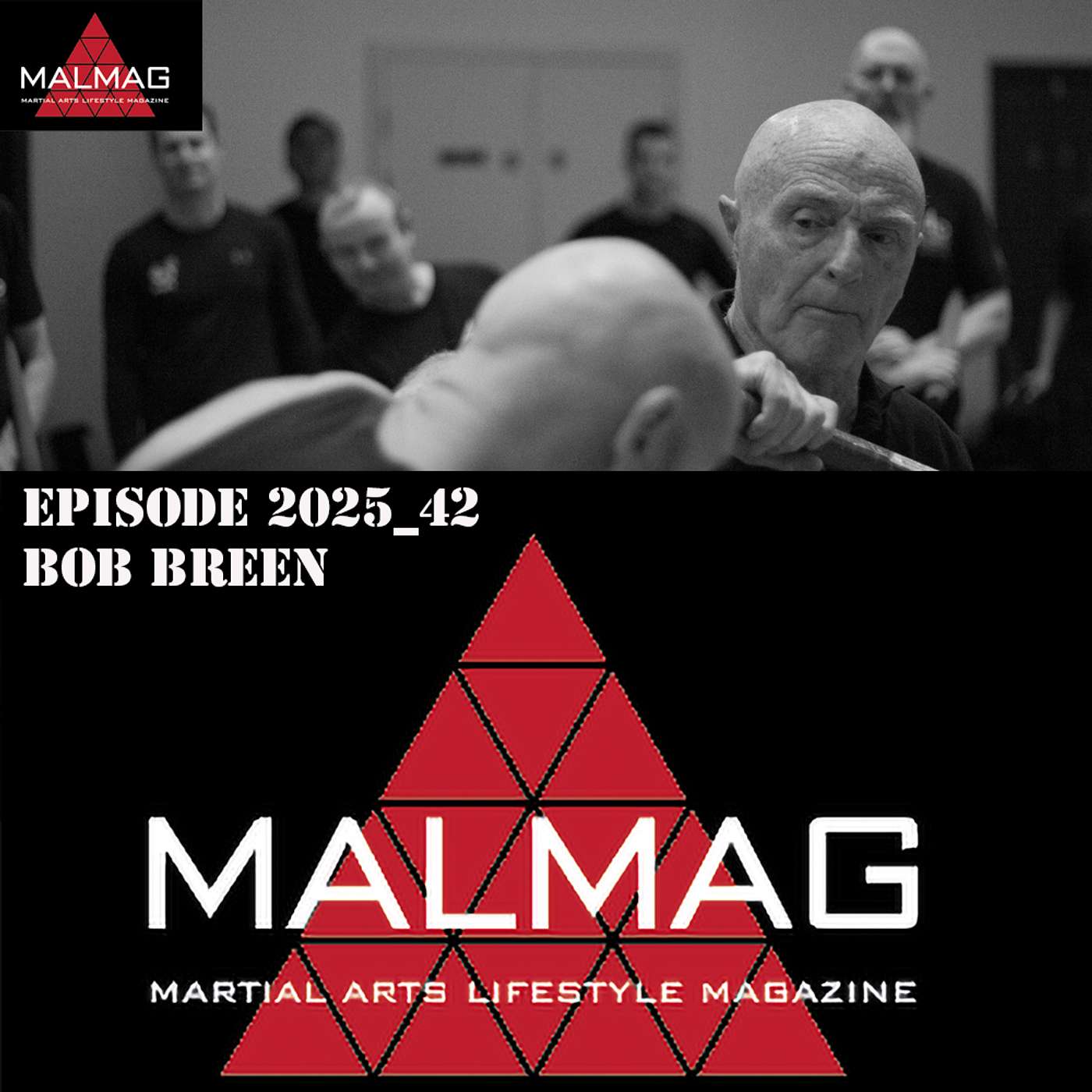 The Martial Arts Lifestyle Podcast