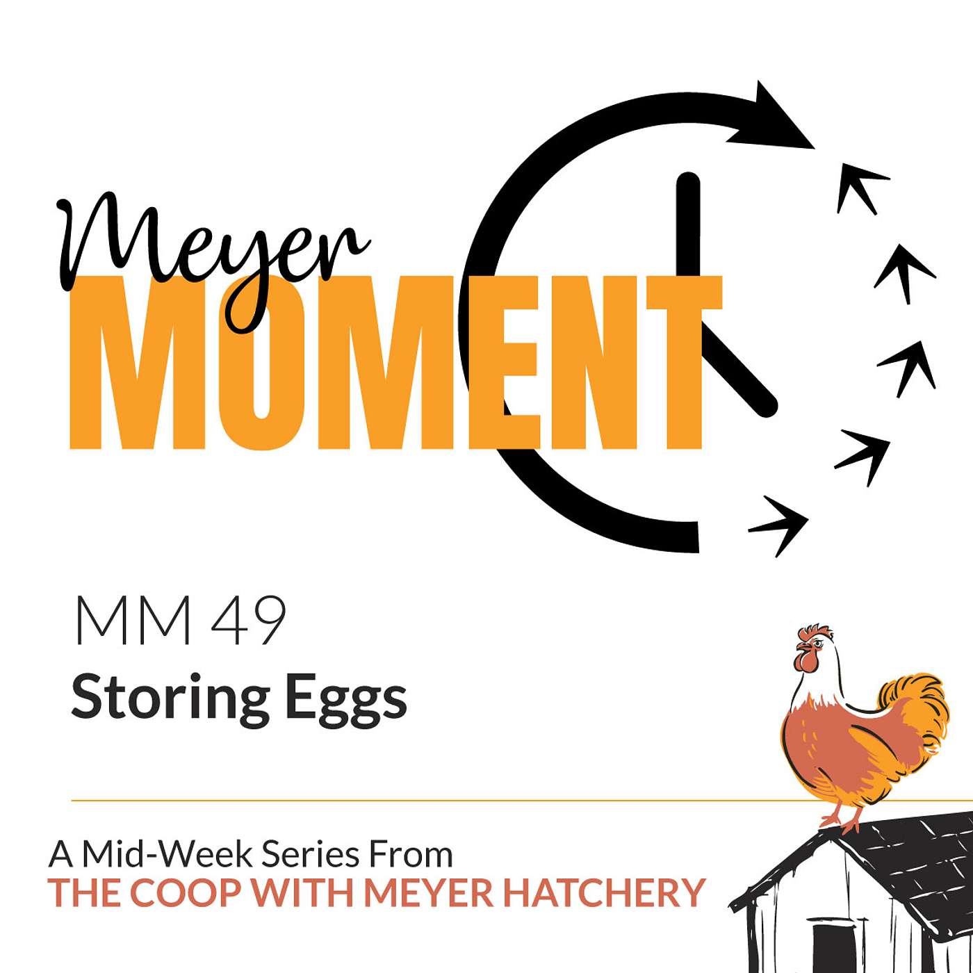 Meyer Moment: Storing Eggs