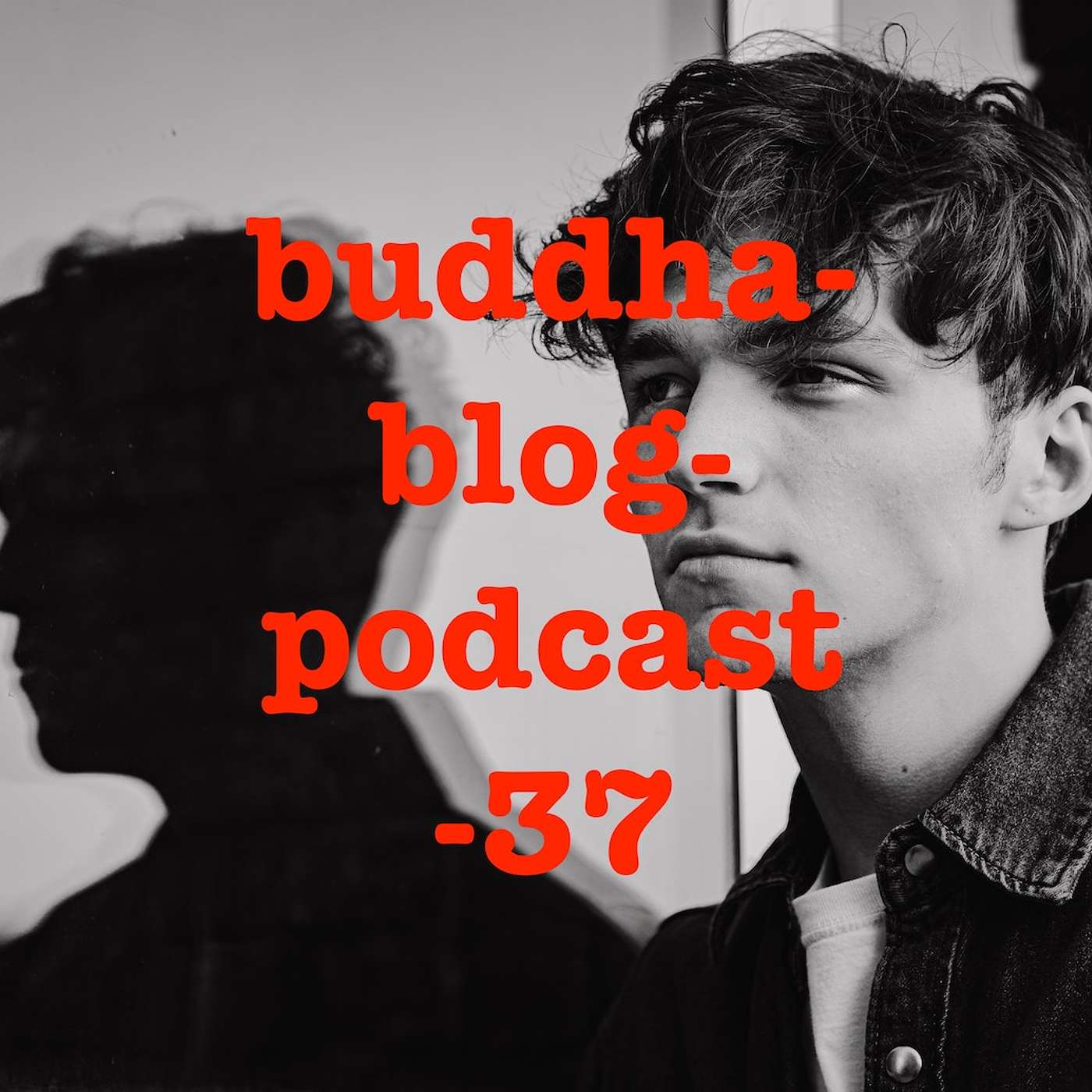 Buddha Blog - Buddhismus im Alltag